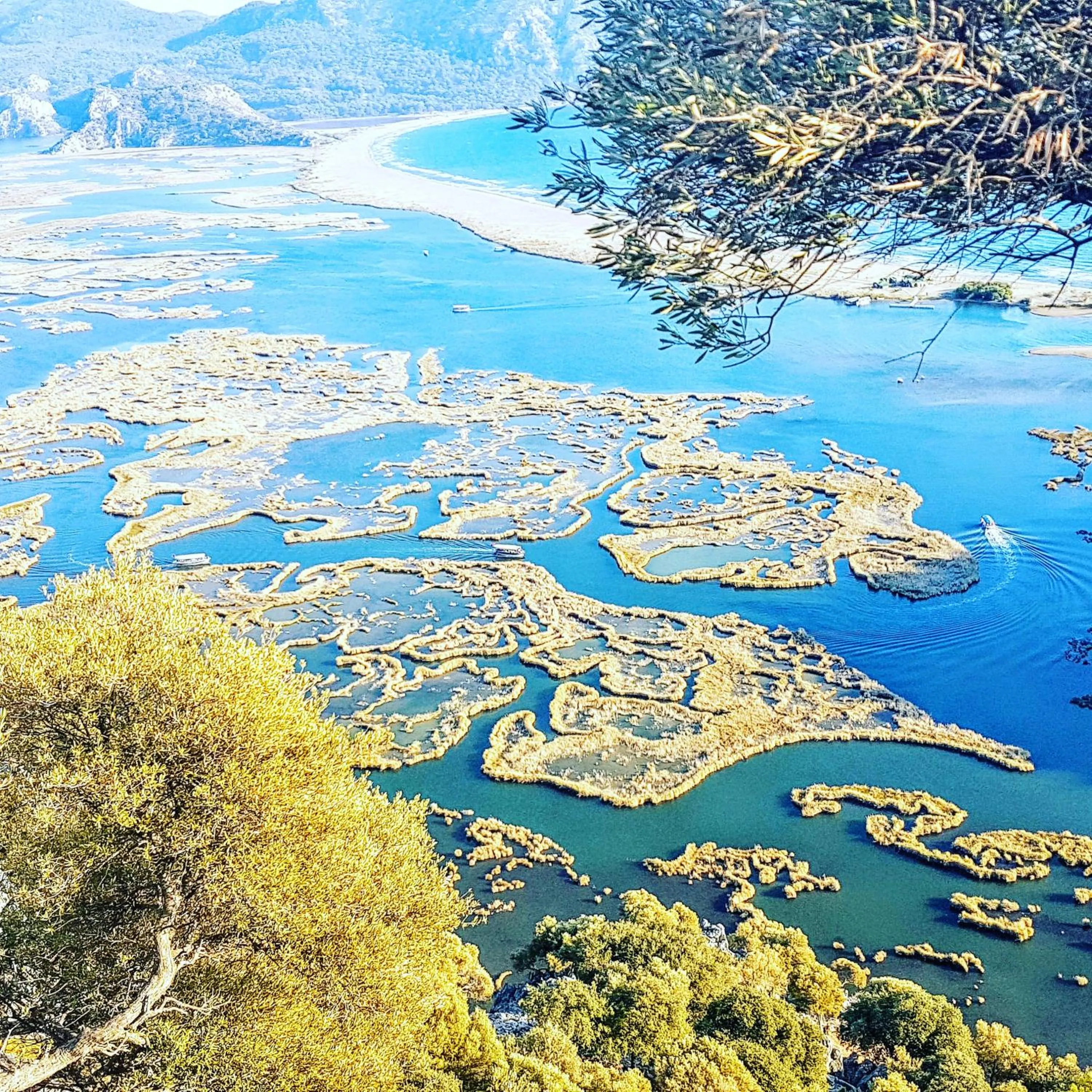 Natural landscape in Dalyan Hotel Nish Caria