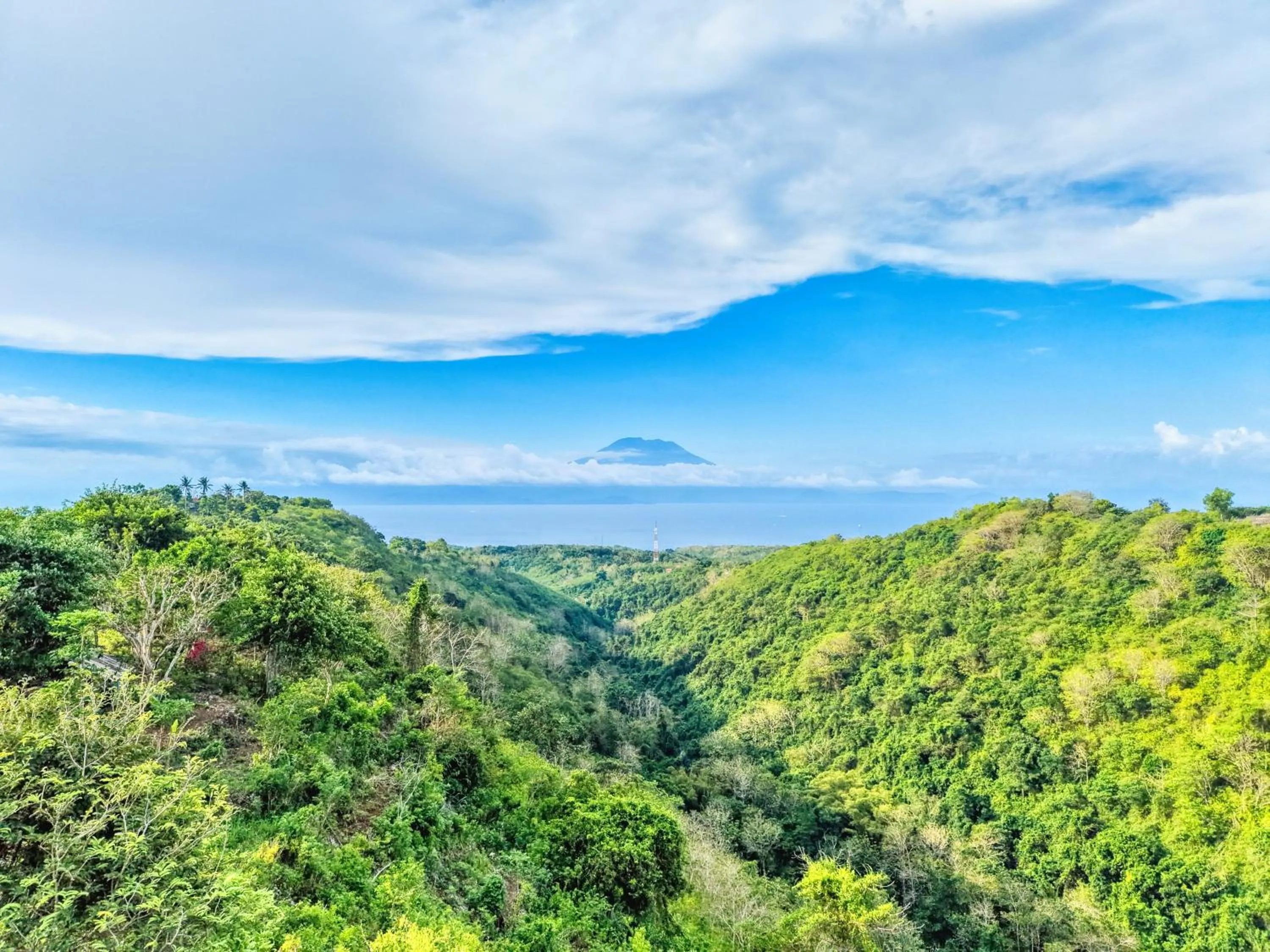 Natural landscape in Ayu Hill Bungalows