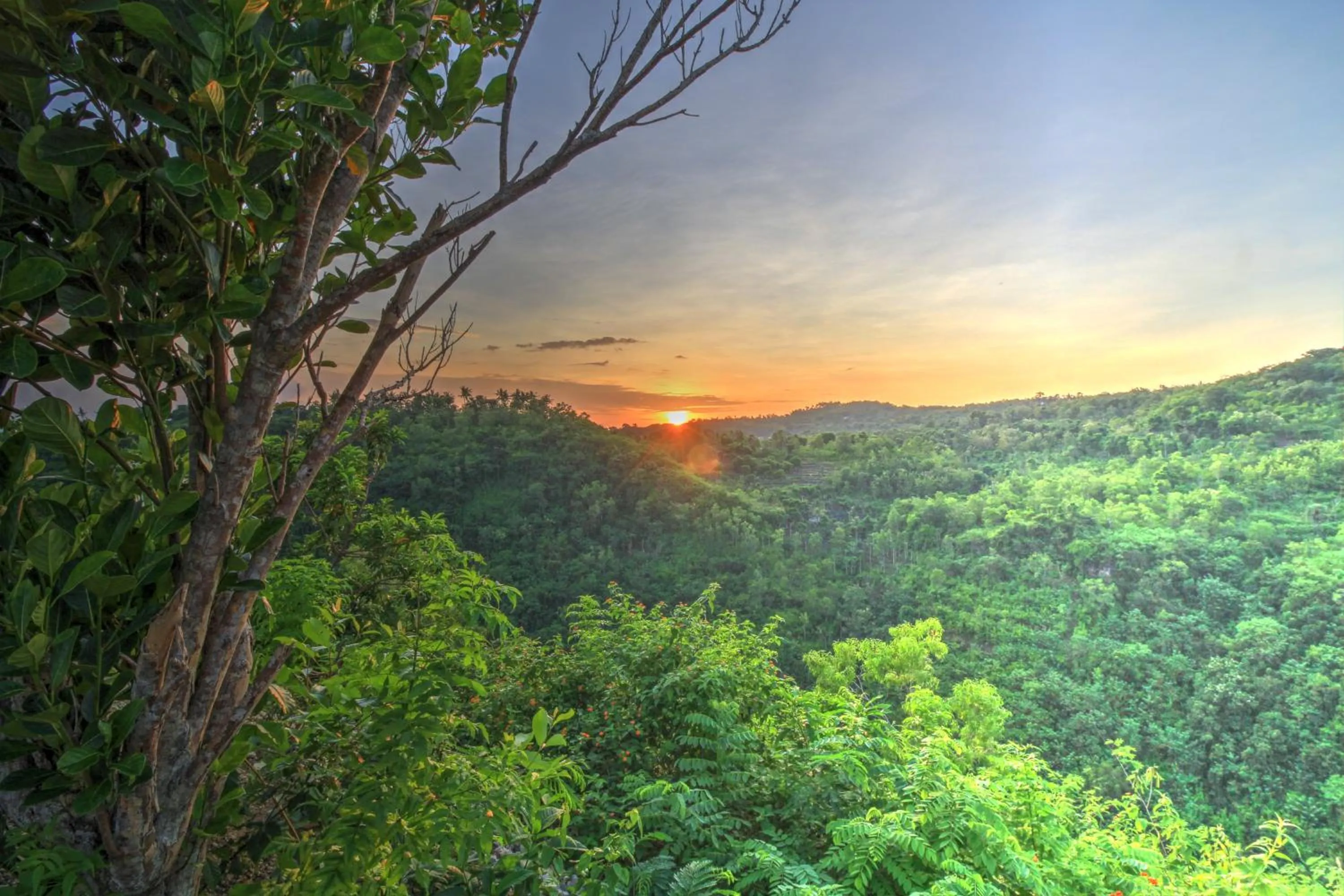 Natural landscape in Ayu Hill Bungalows
