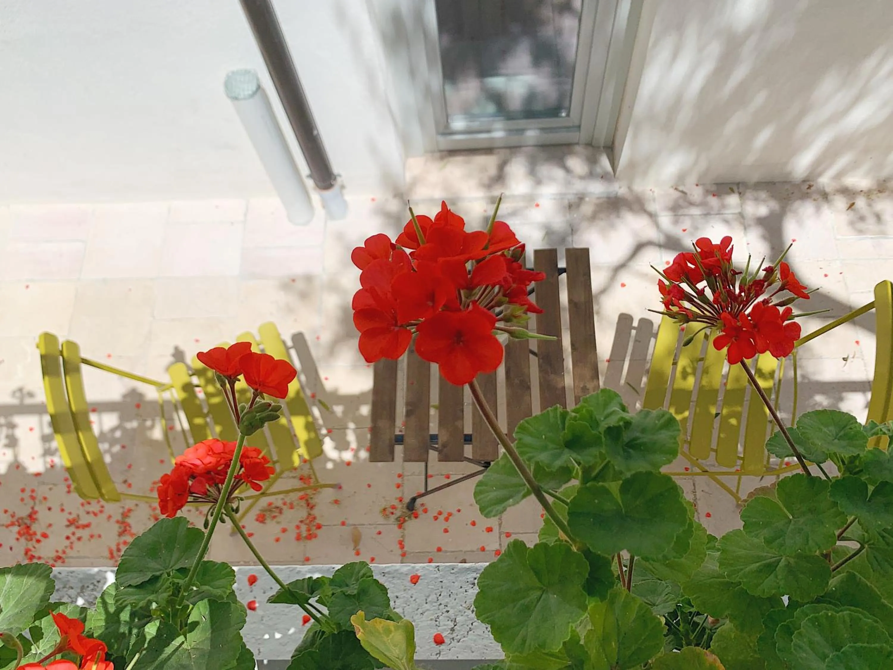 Garden in Dimora Cummà Marì