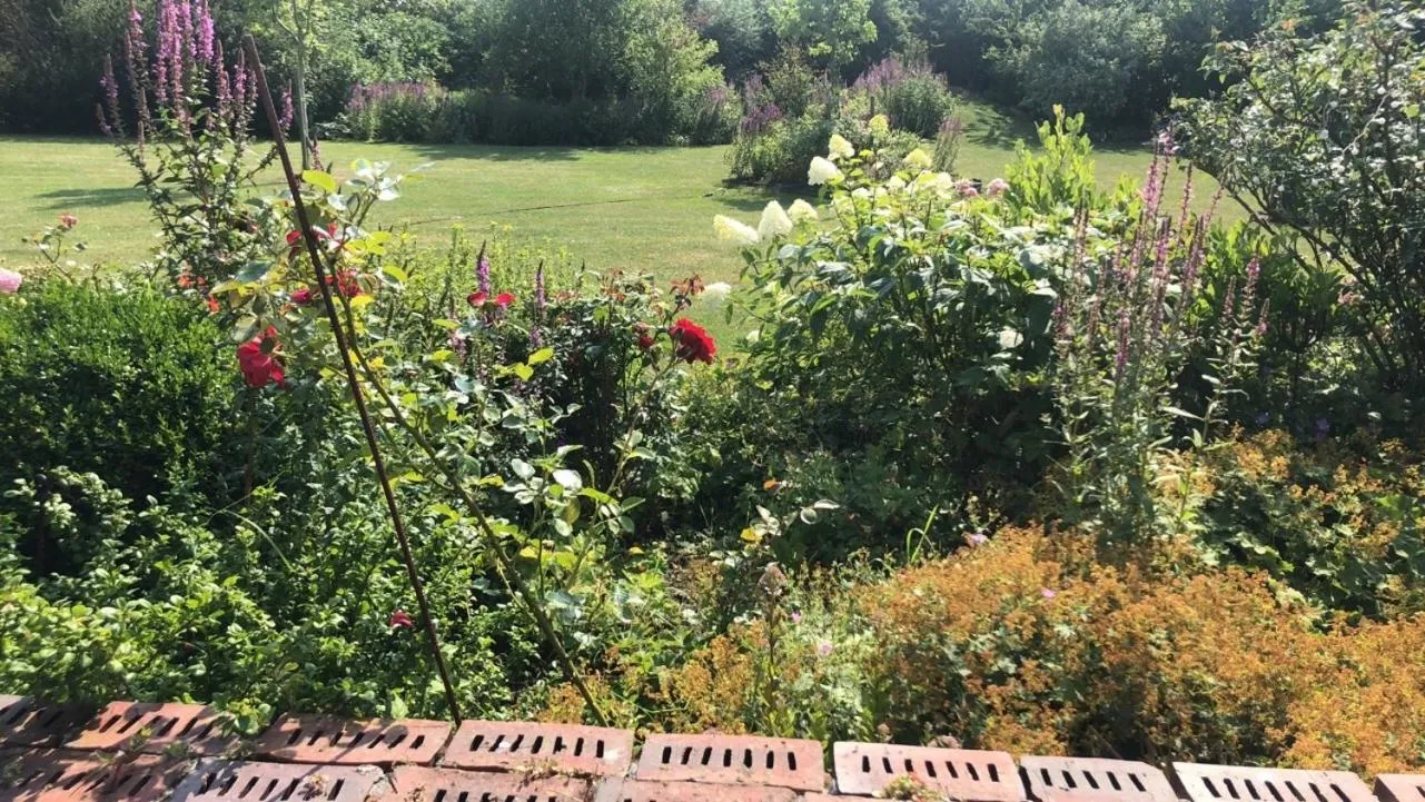 View (from property/room) in Hillrichshof