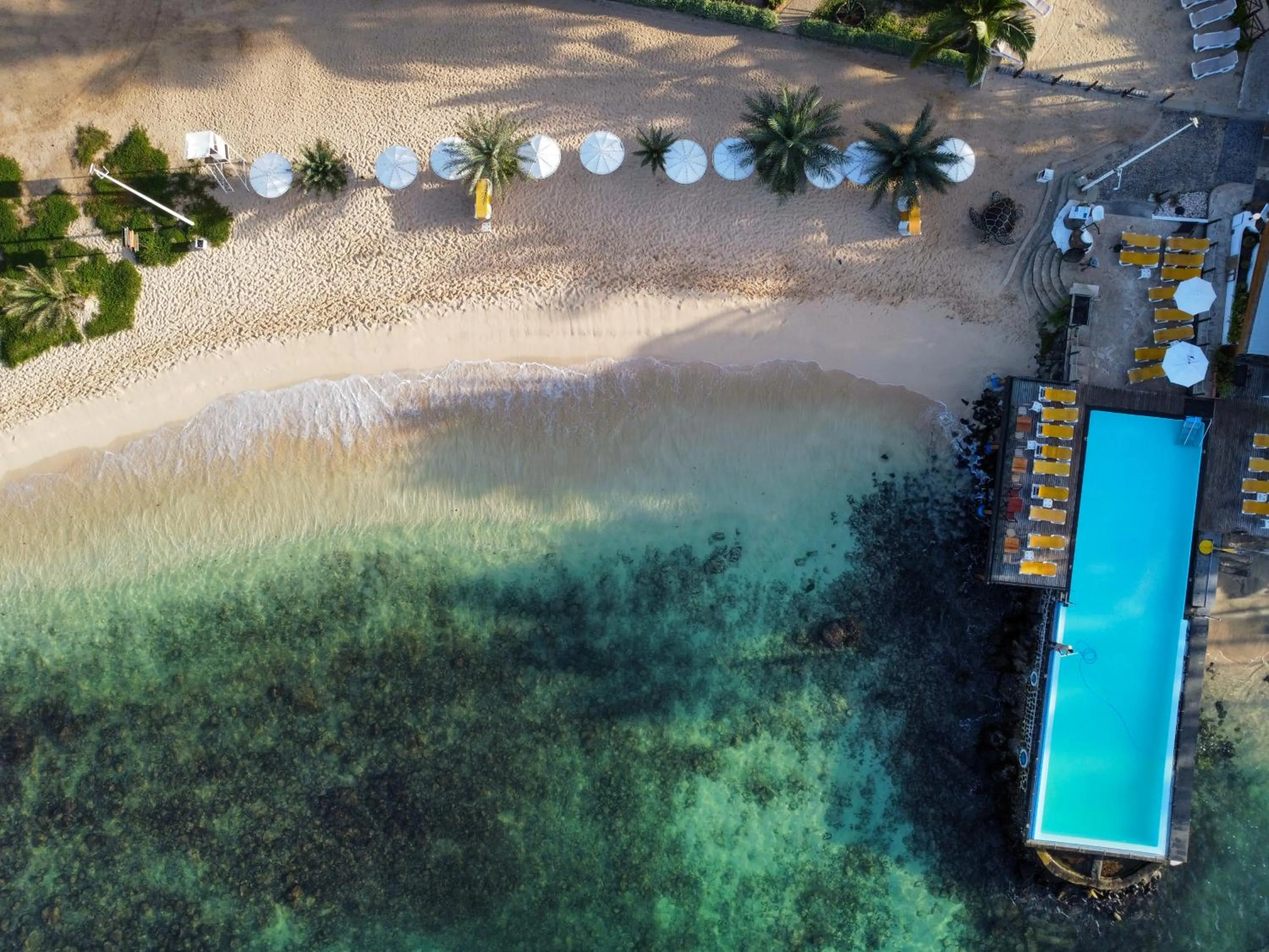 Beach in Hotel Odjo d'água