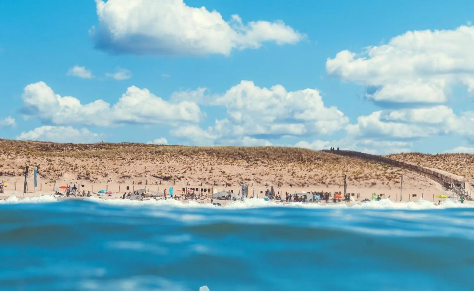 Beach in Single Fin Hotel & Lodge