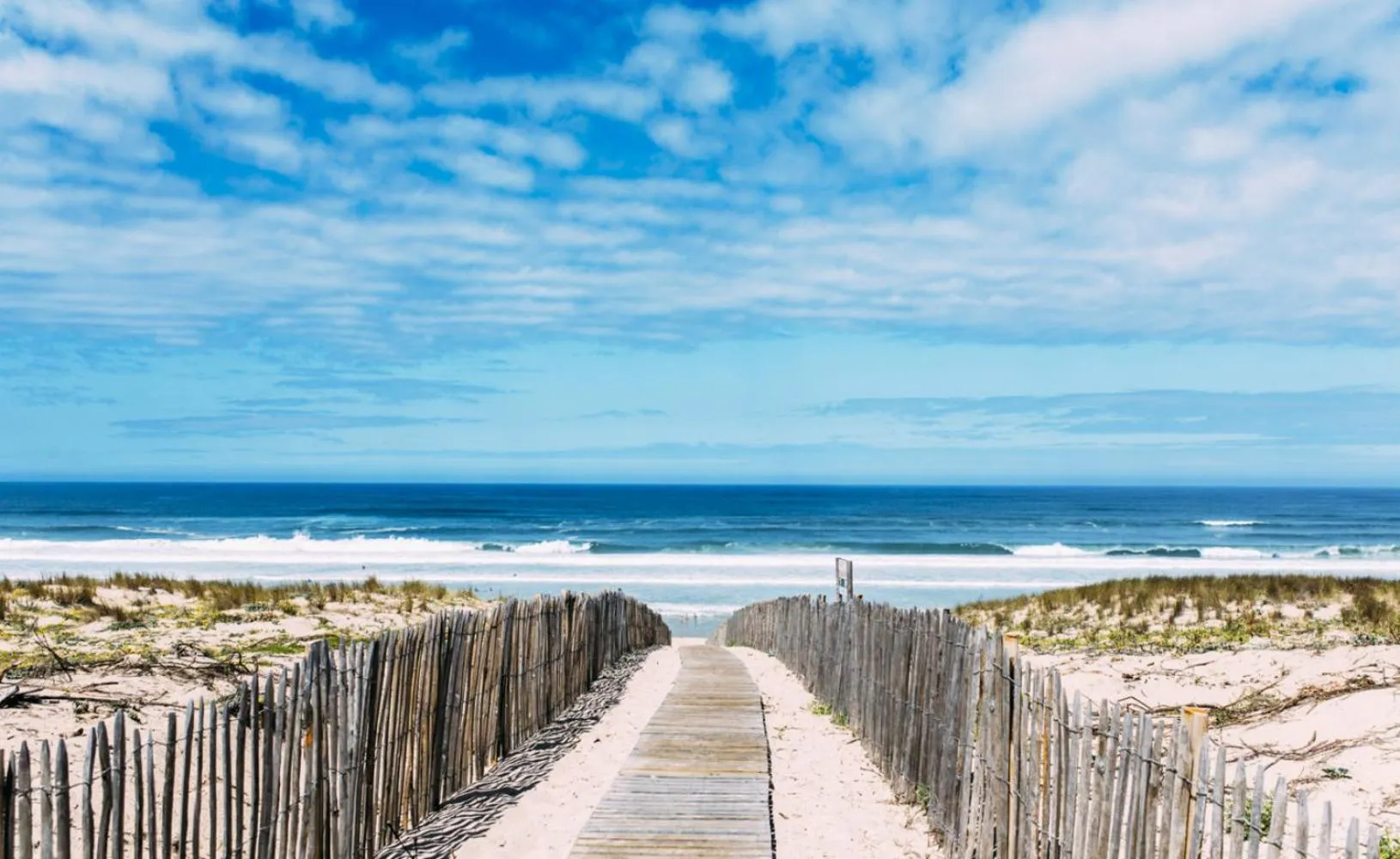 Beach in Single Fin Hotel & Lodge