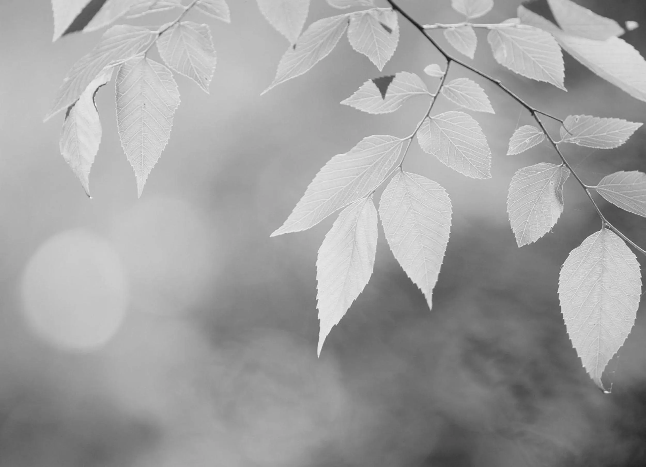 Other in Hotel Geerts