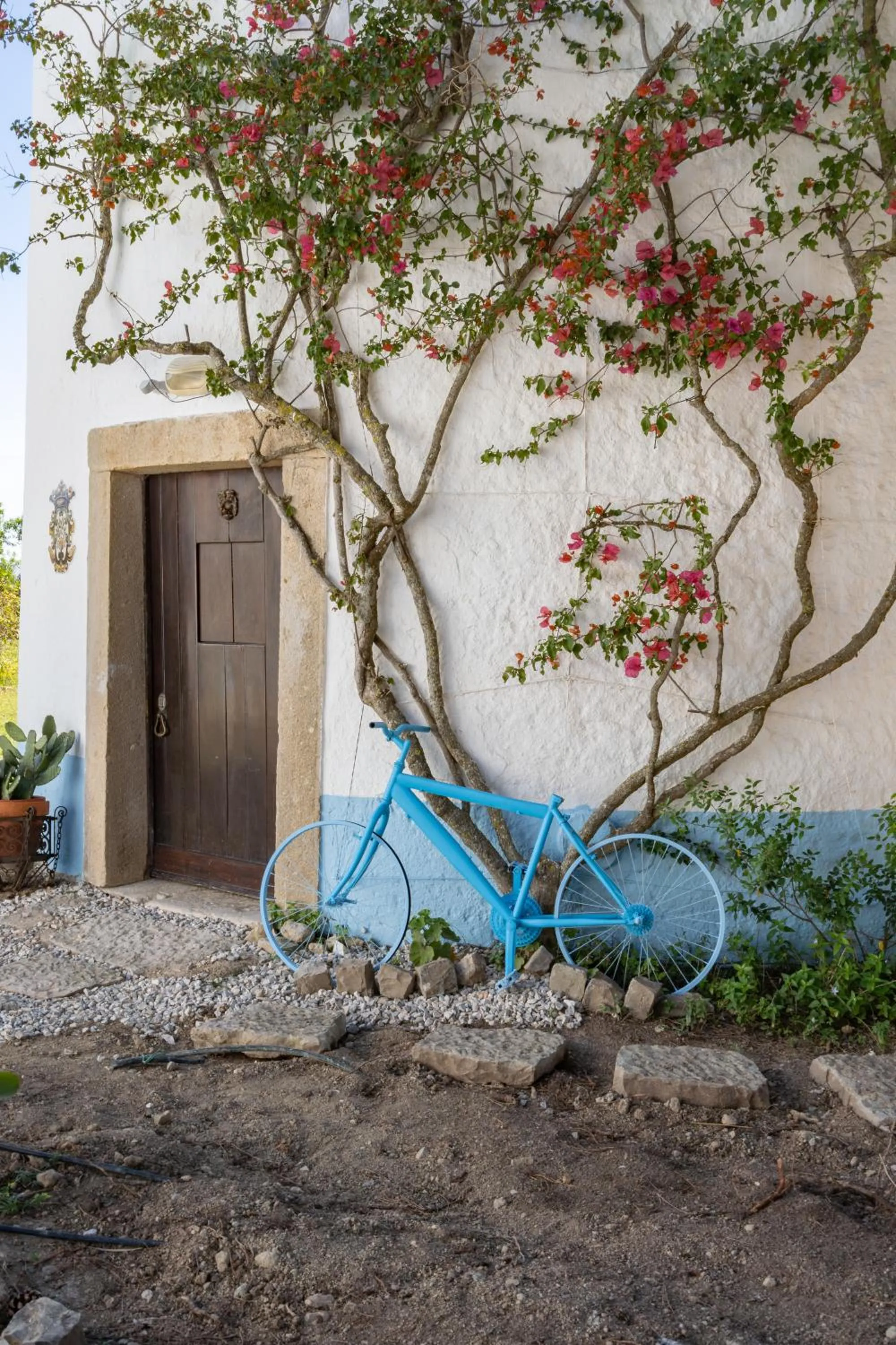 Bem Parece by Umbral