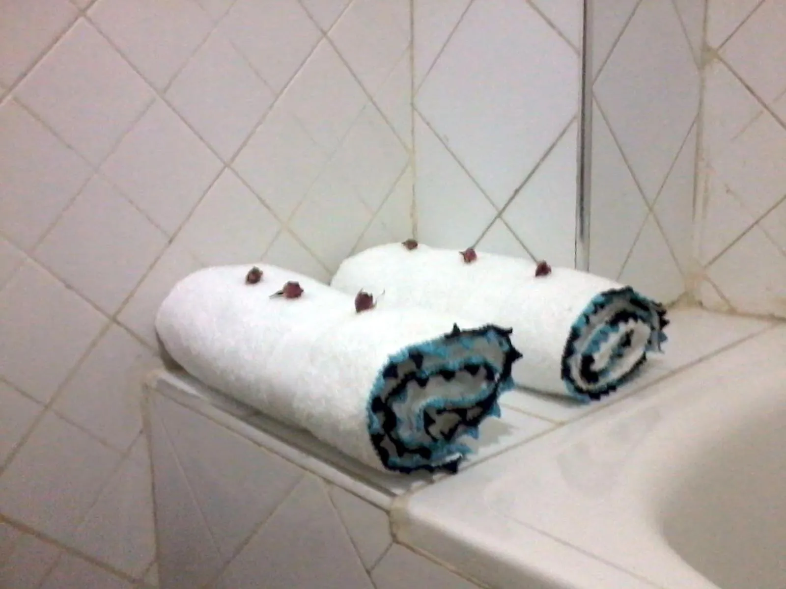 Bathroom in Hôtel Tijani