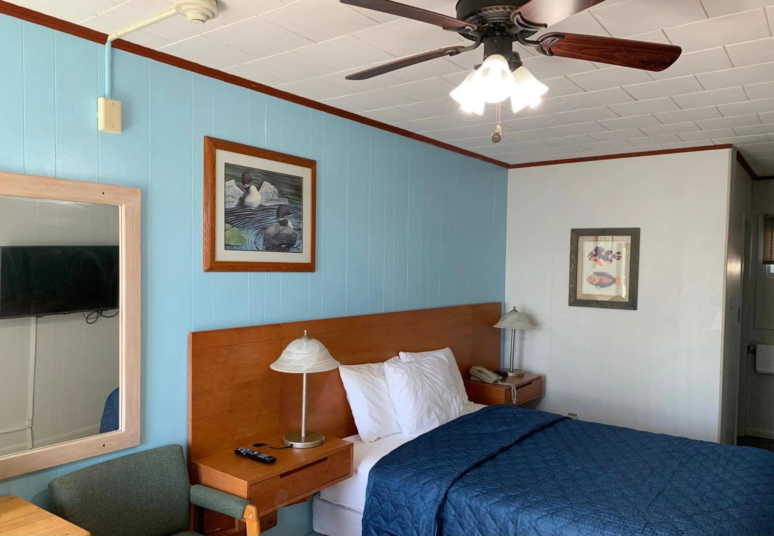 Bed in Town & Country Motel