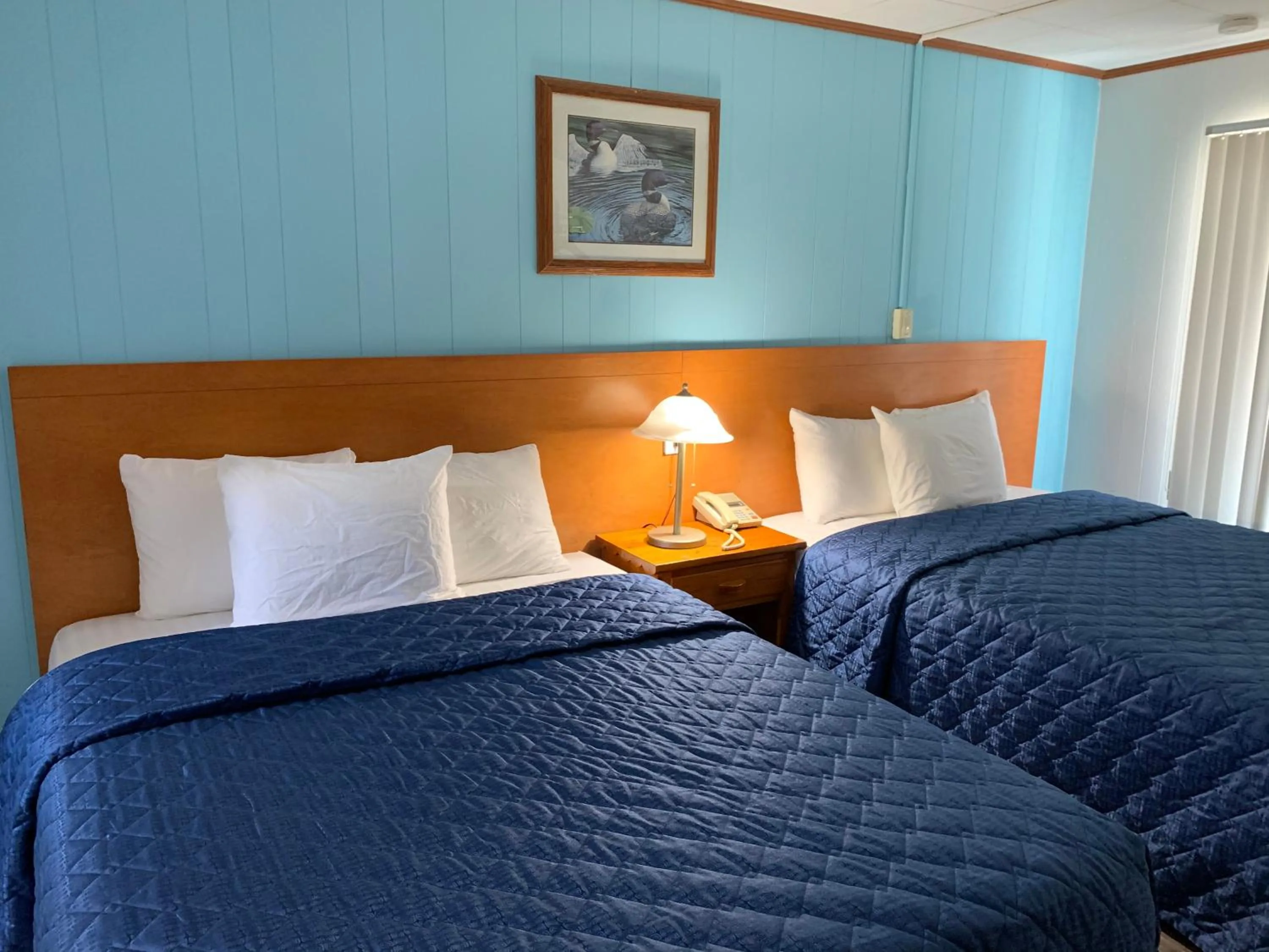 Bed in Town & Country Motel