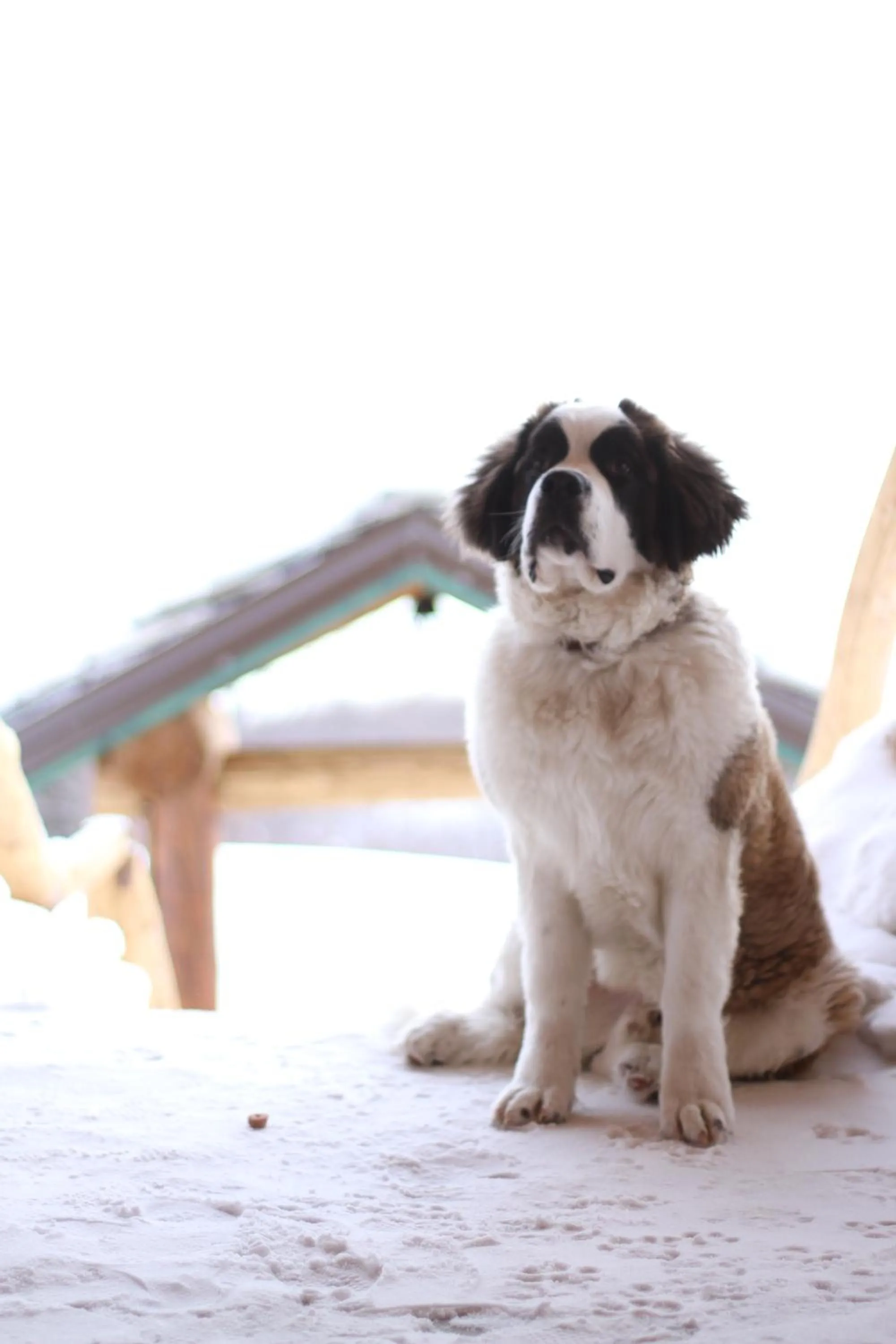 Staff in Sfendamos Wood Village