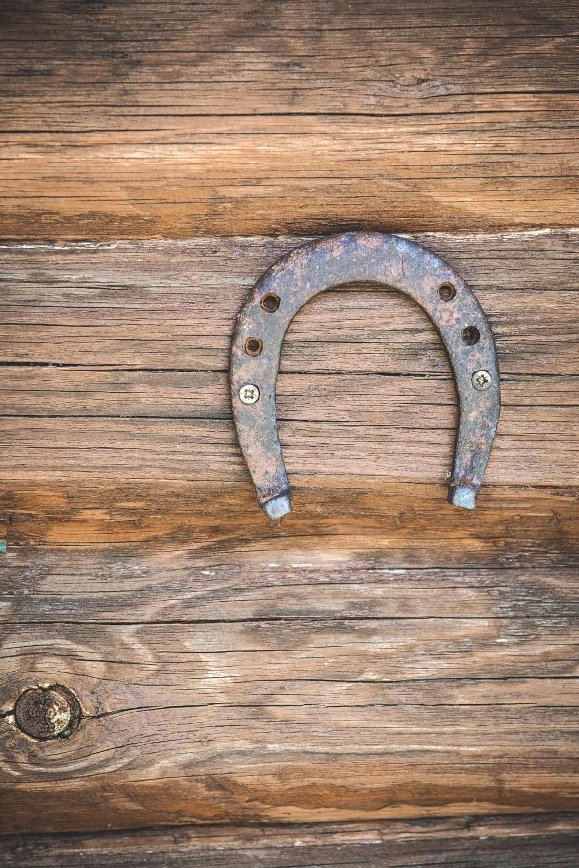 Decorative detail in Sfendamos Wood Village