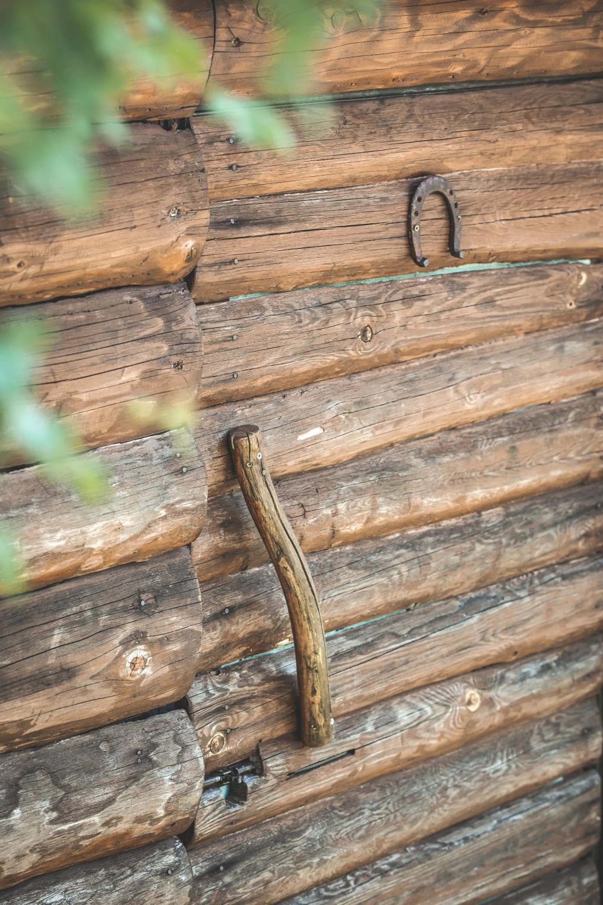 Off site in Sfendamos Wood Village