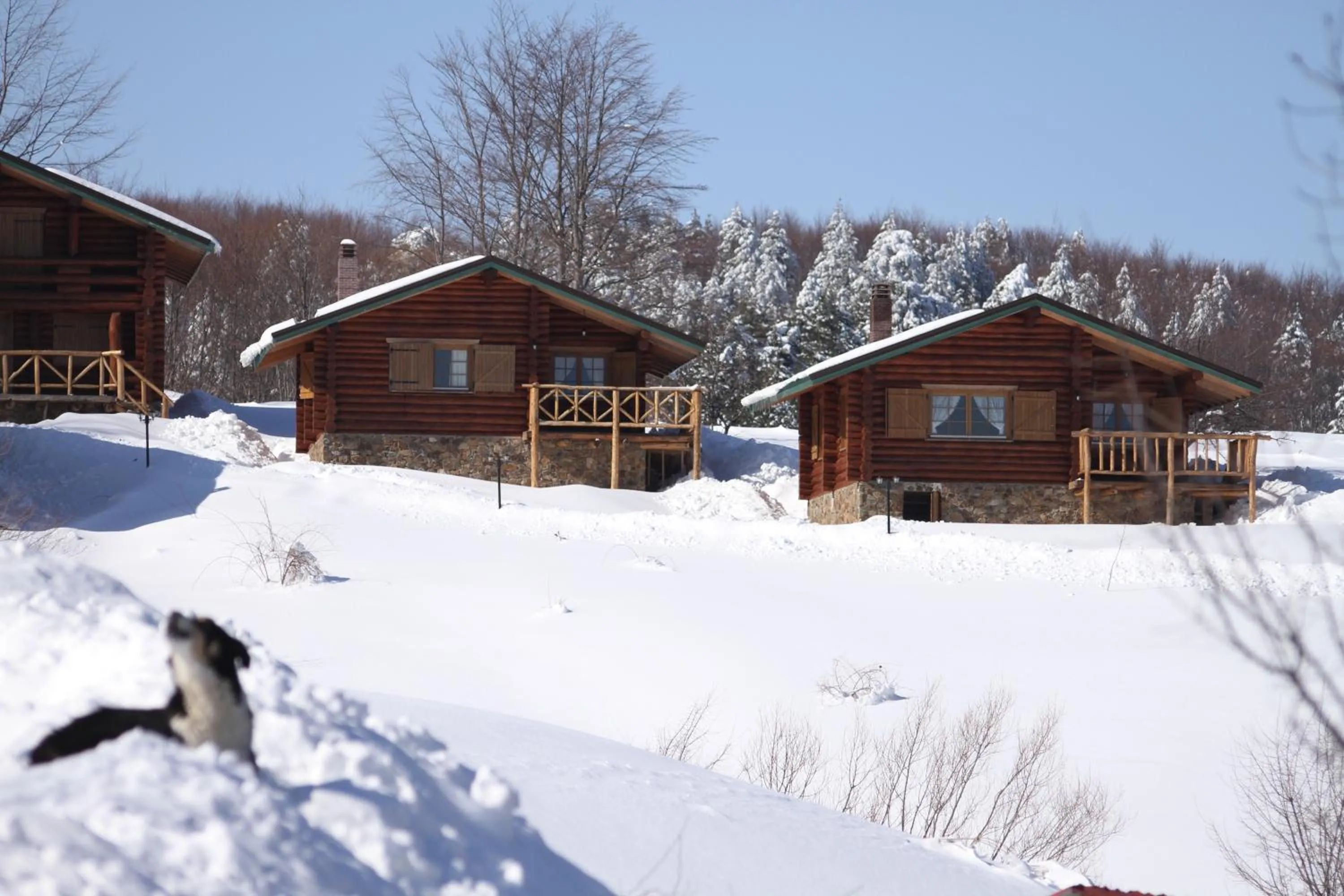 Day in Sfendamos Wood Village