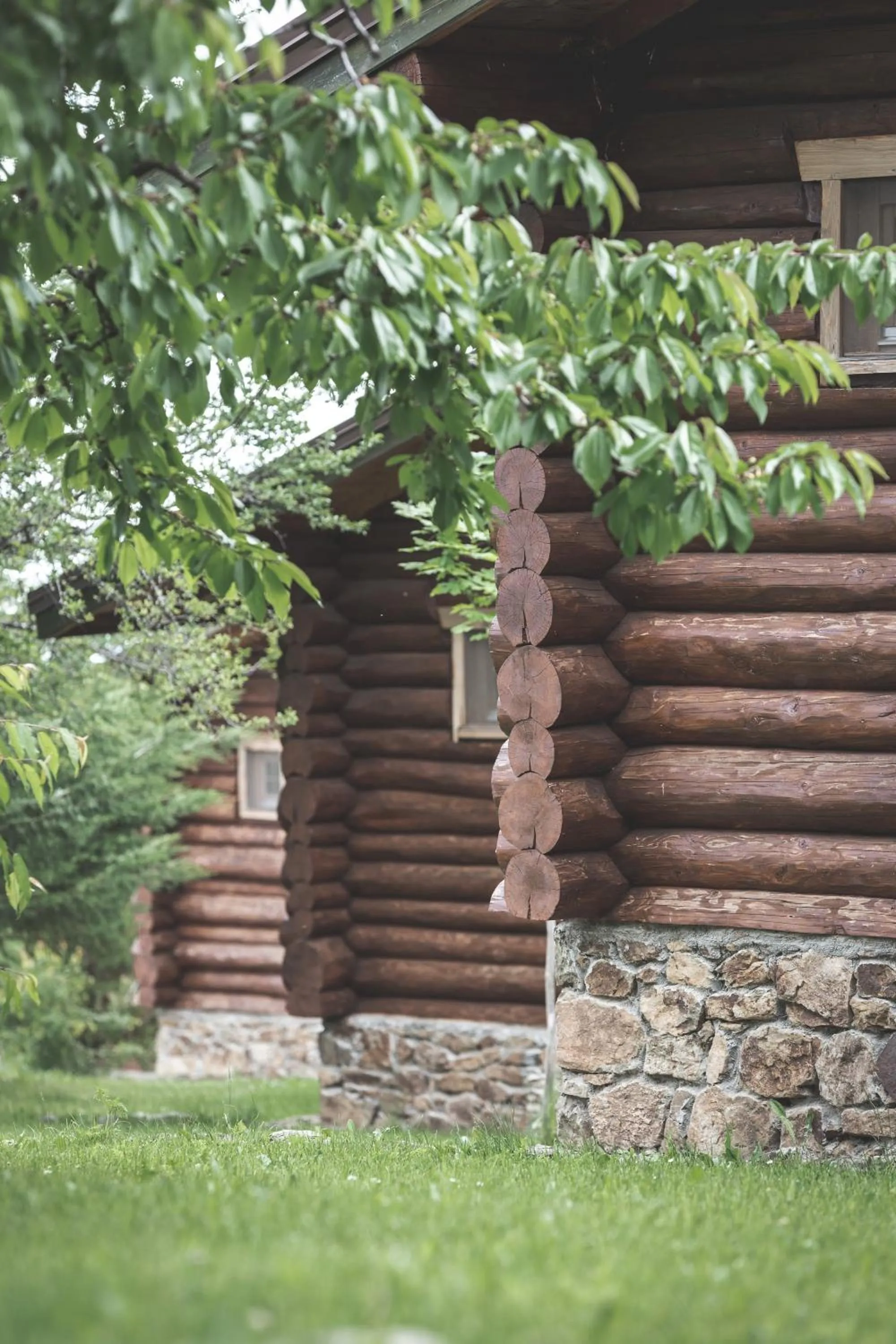 Facade/entrance in Sfendamos Wood Village