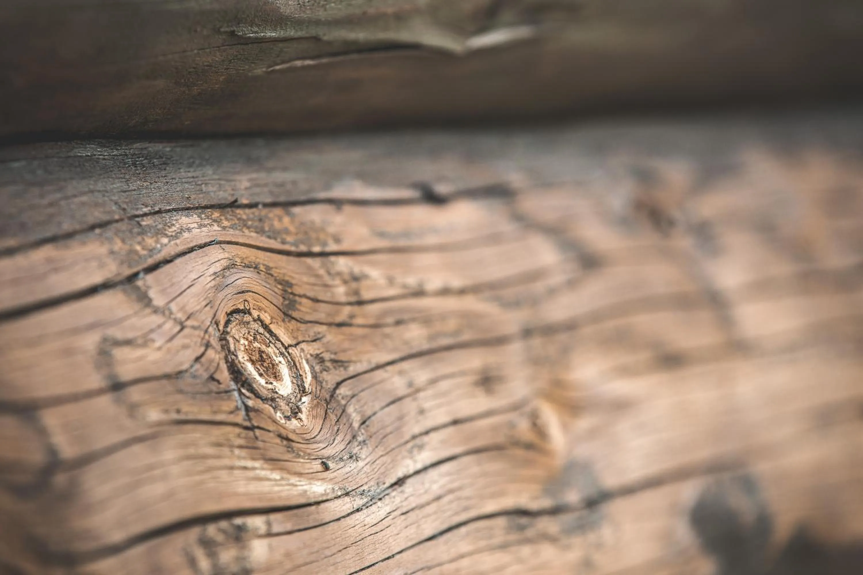 Off site in Sfendamos Wood Village