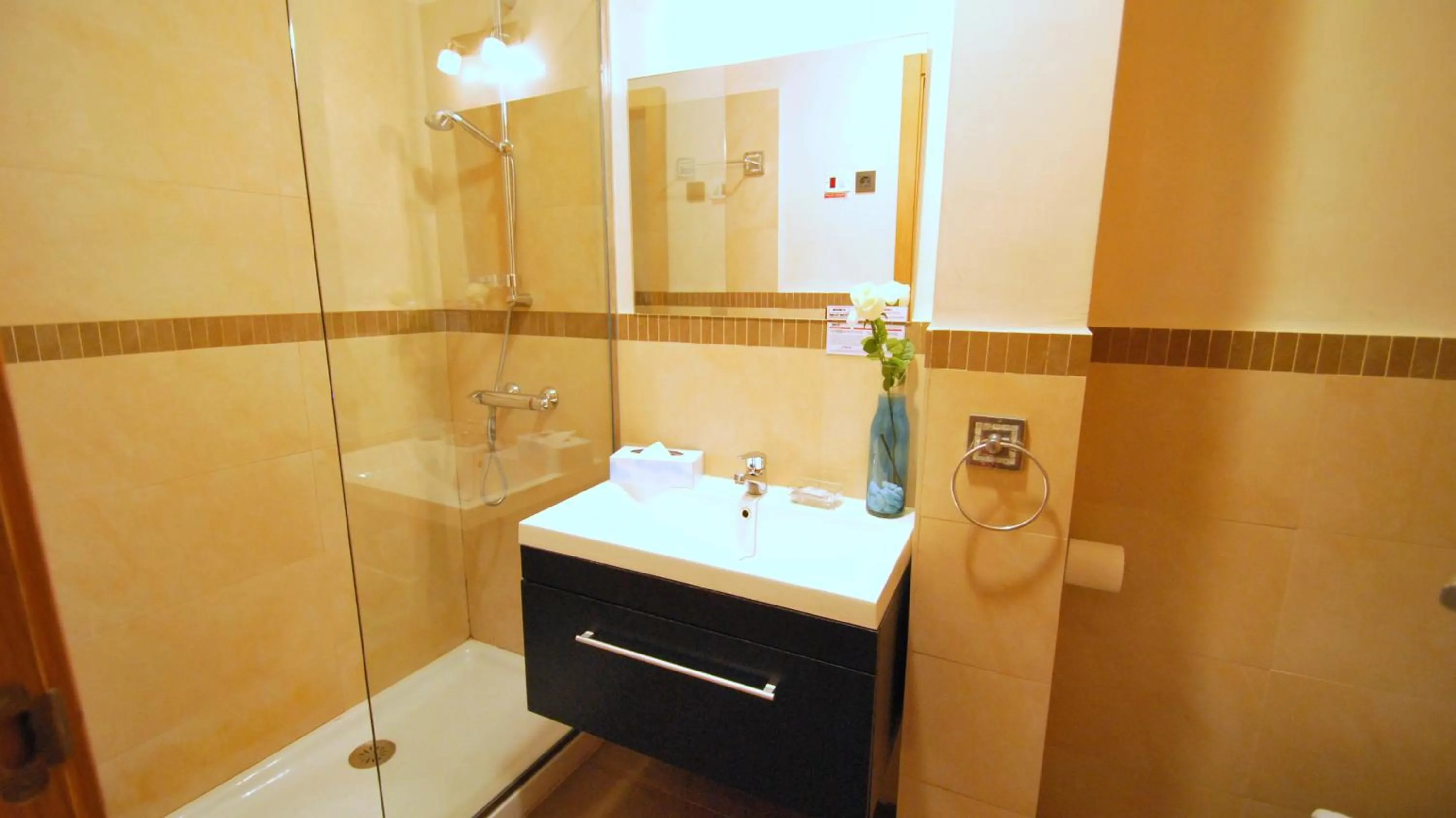 Bathroom in Living-Sevilla Apartments San Lorenzo
