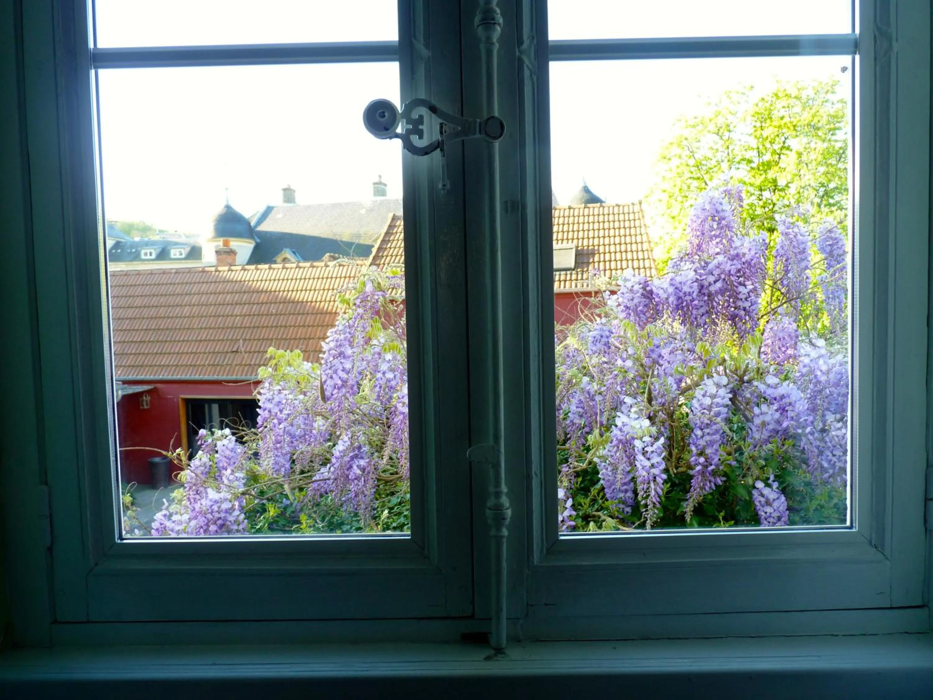 Garden view in Chambres d'Hôte Le Clos de L'Argolay