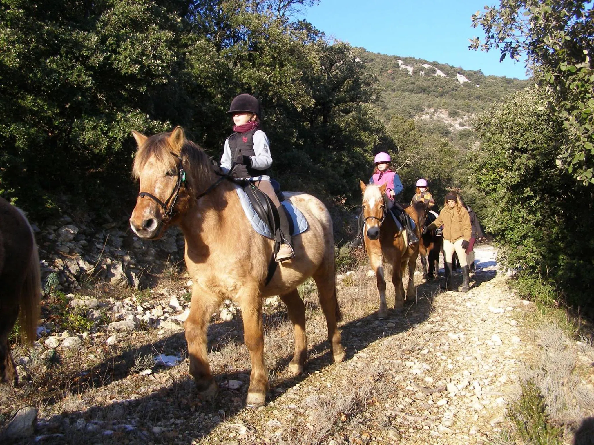 Area and facilities in Park & Suites Village Gorges de l'Hérault-Cévennes