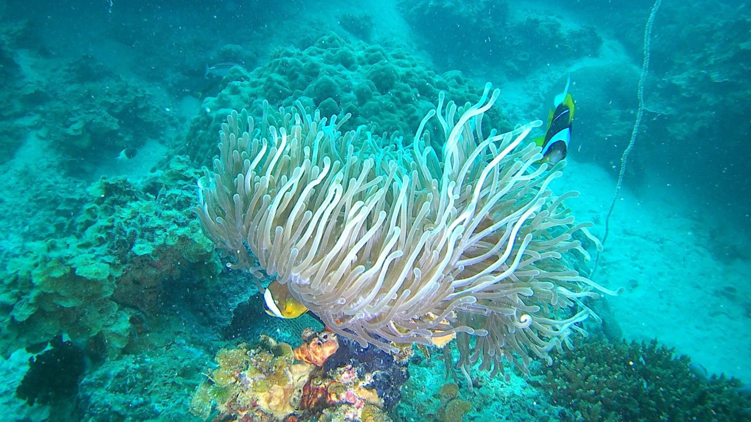 Off site in Fumba Beach Lodge