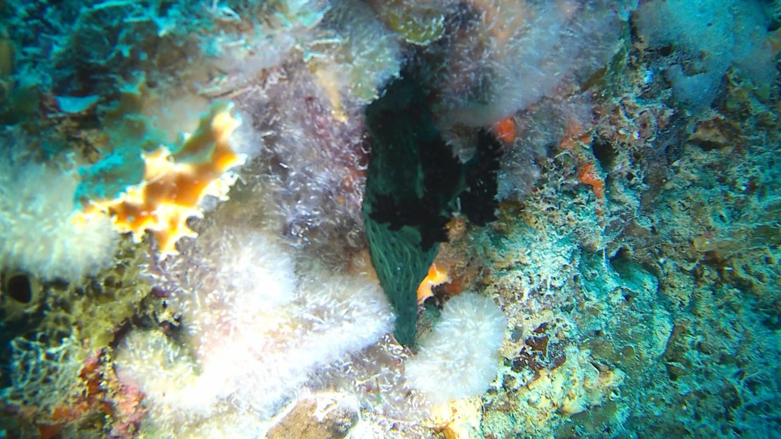 Off site in Fumba Beach Lodge