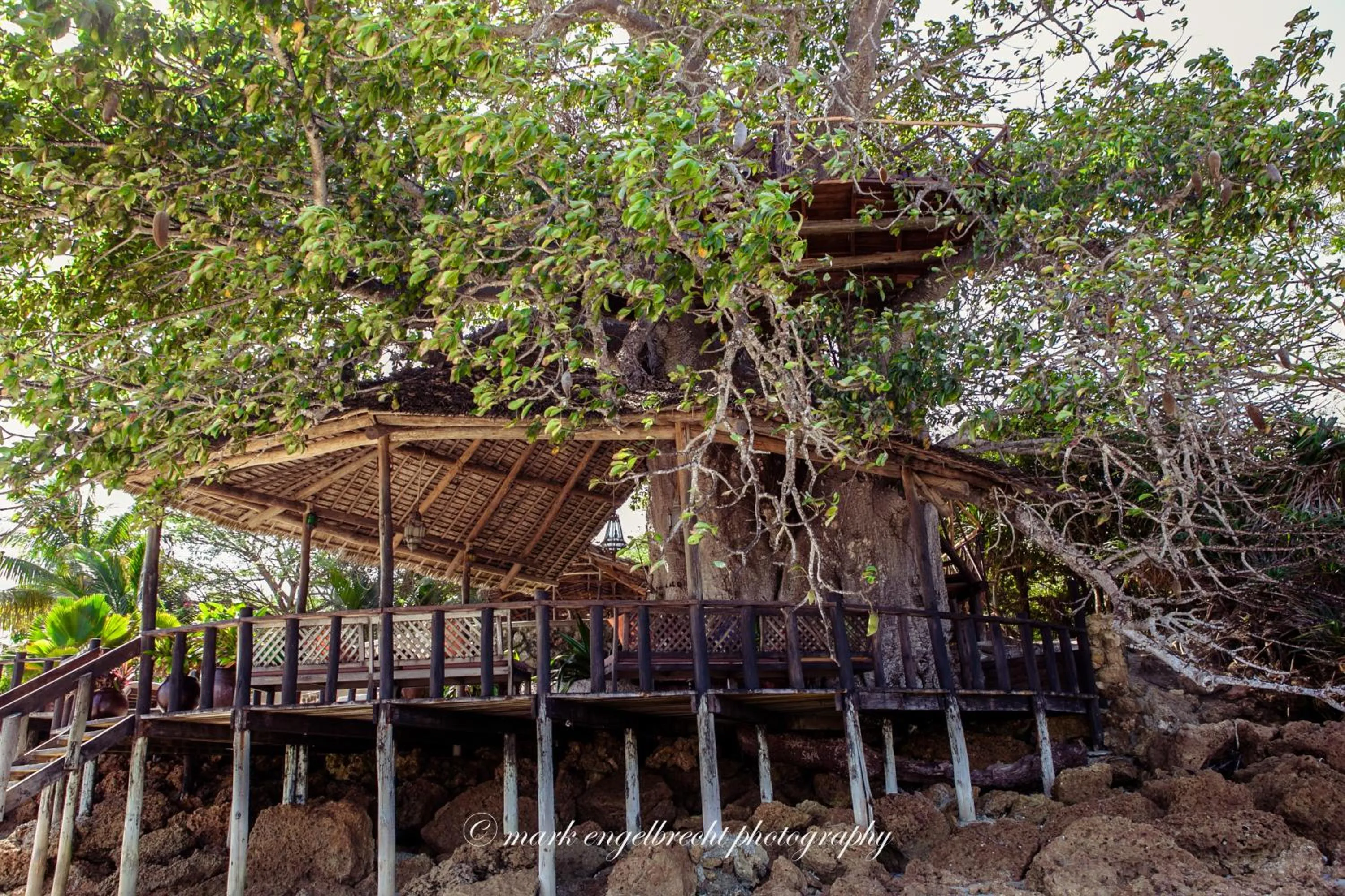 Lounge or bar in Fumba Beach Lodge