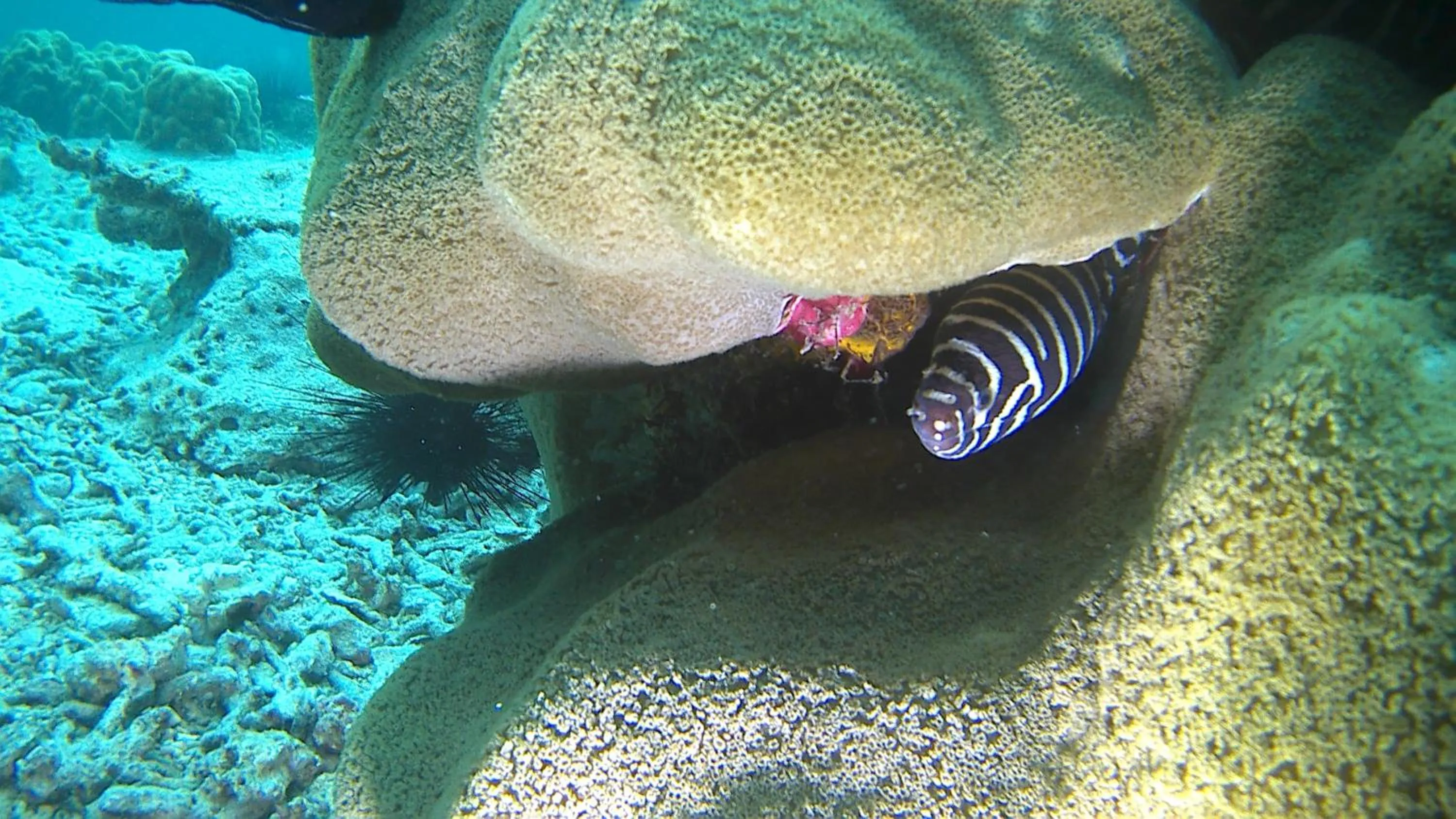 Off site in Fumba Beach Lodge