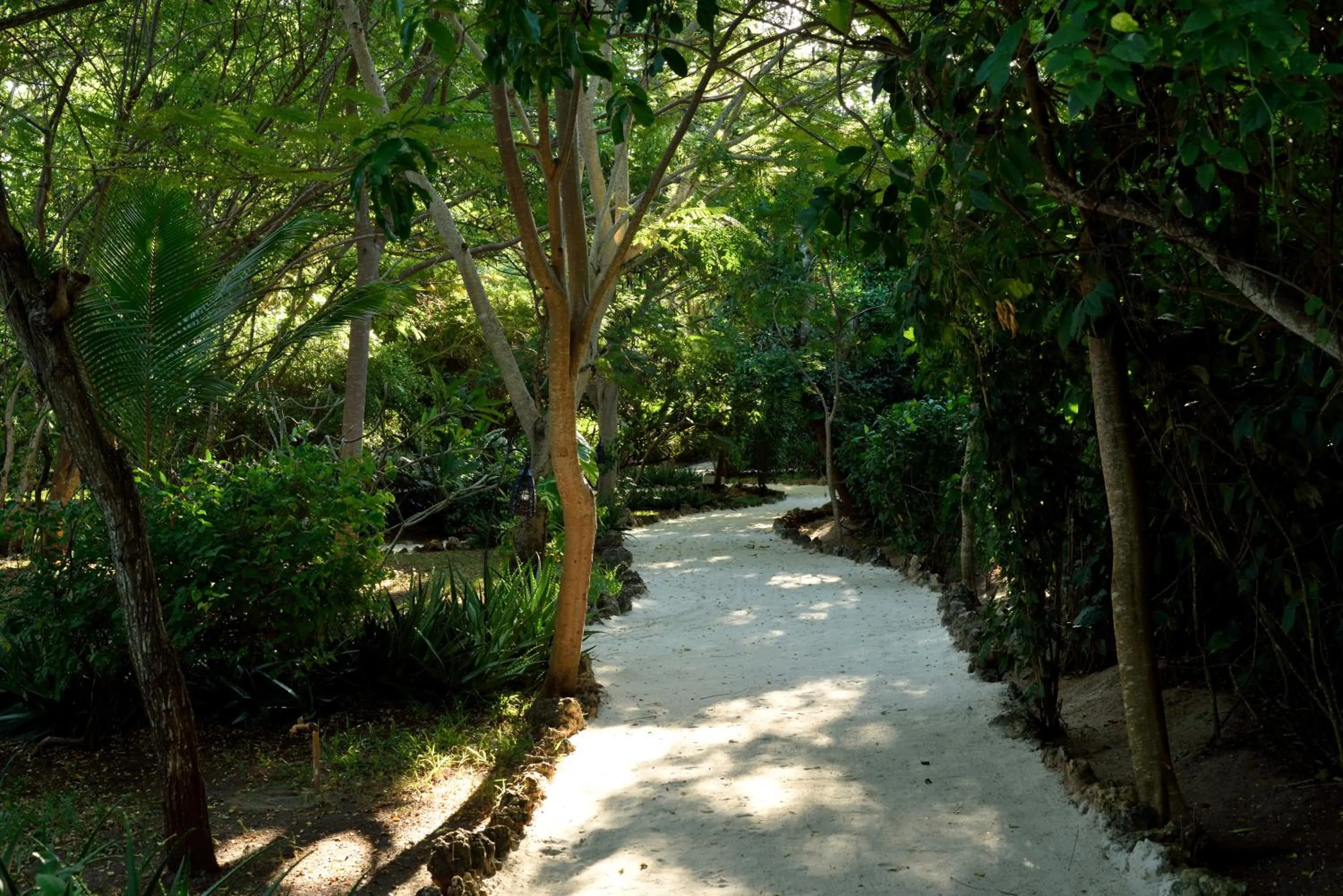 Garden in Fumba Beach Lodge