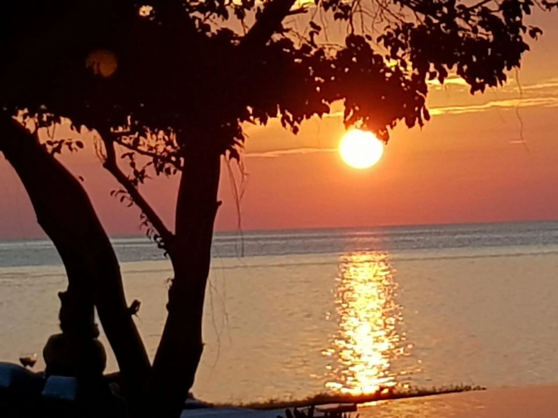 On site in Fumba Beach Lodge