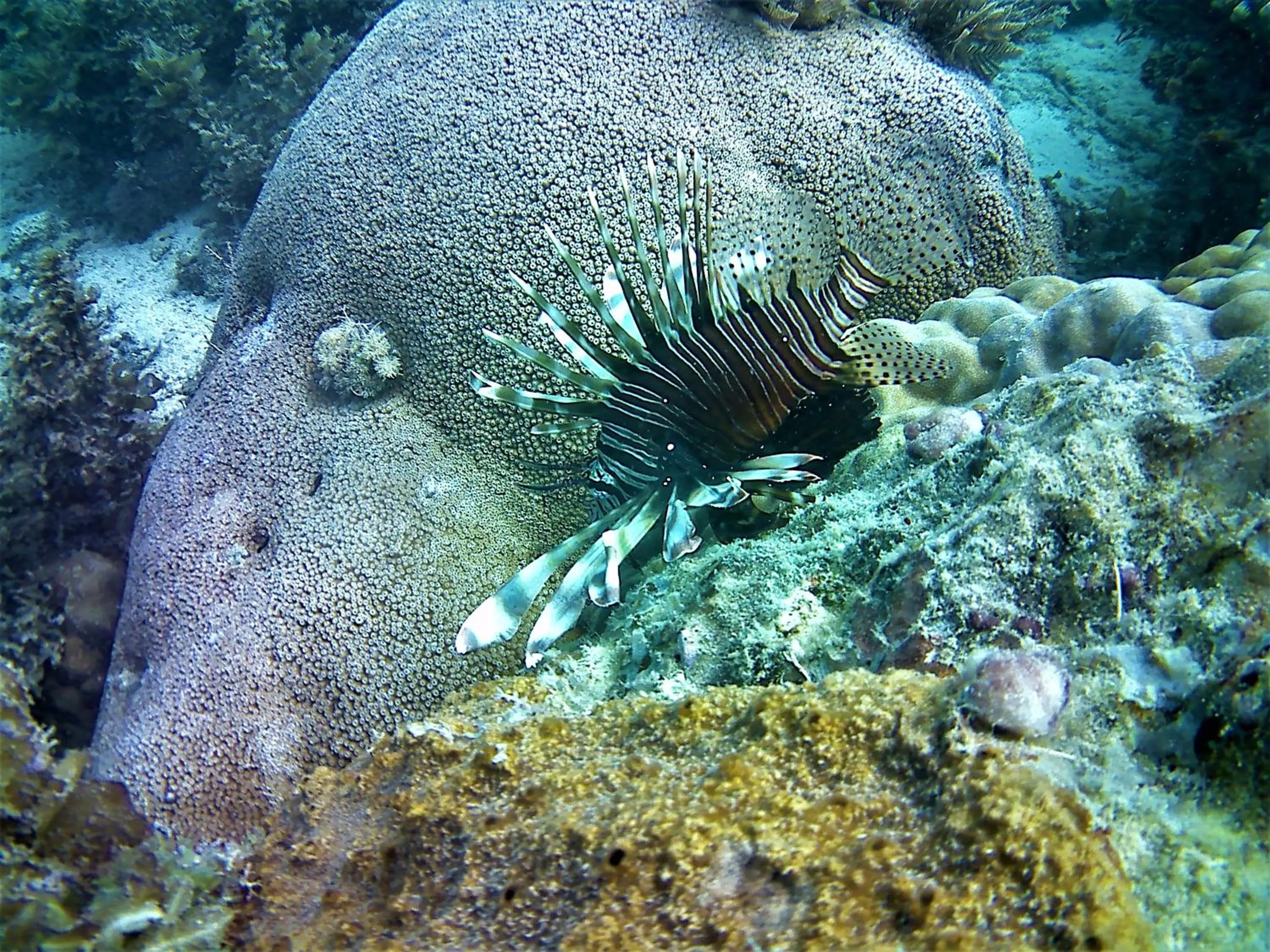 Off site in Fumba Beach Lodge