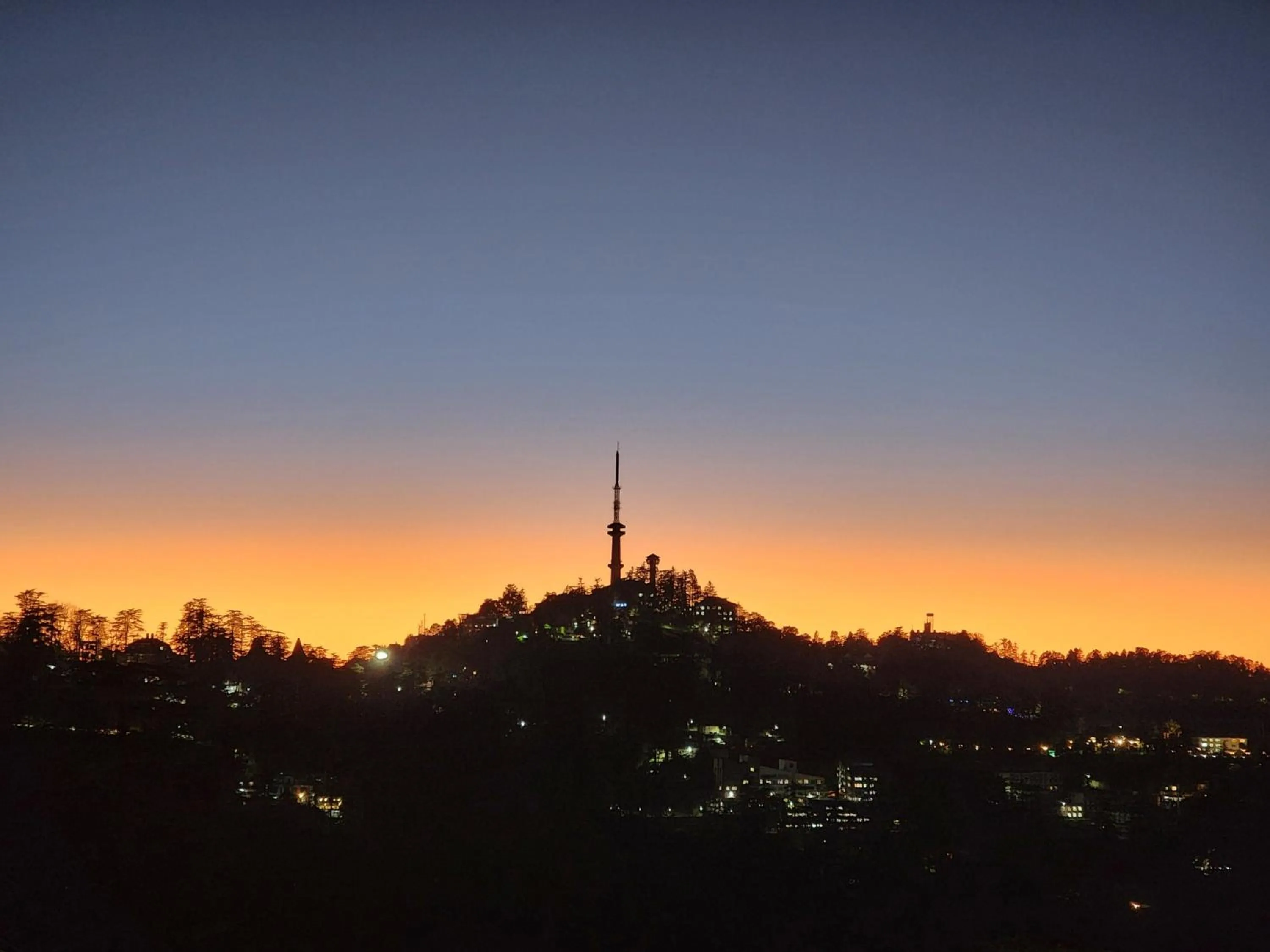 Hotel Pineview Shimla