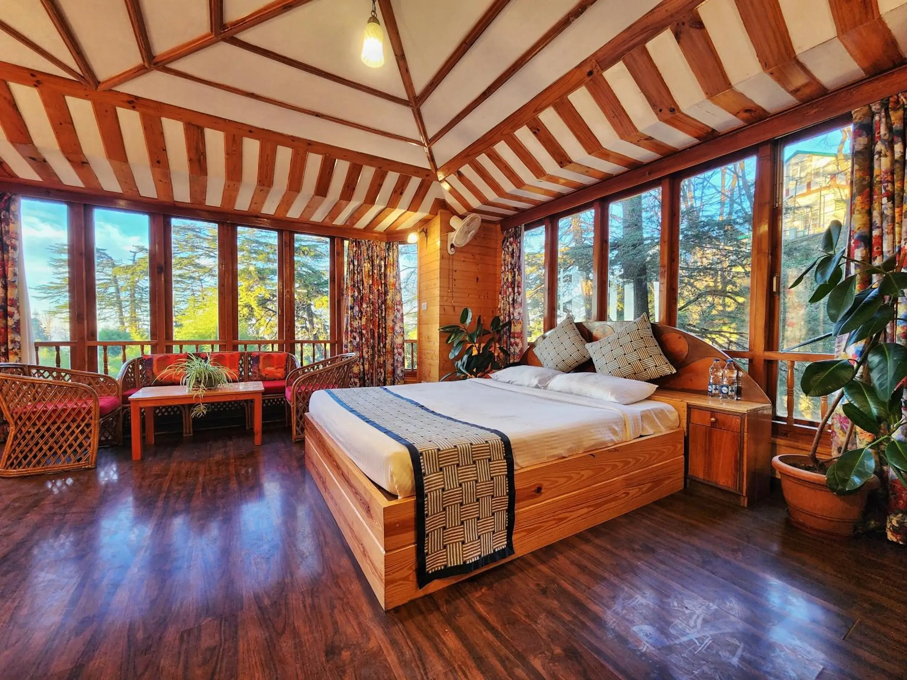 Hotel Pineview Shimla Hotel Pineview Shimla