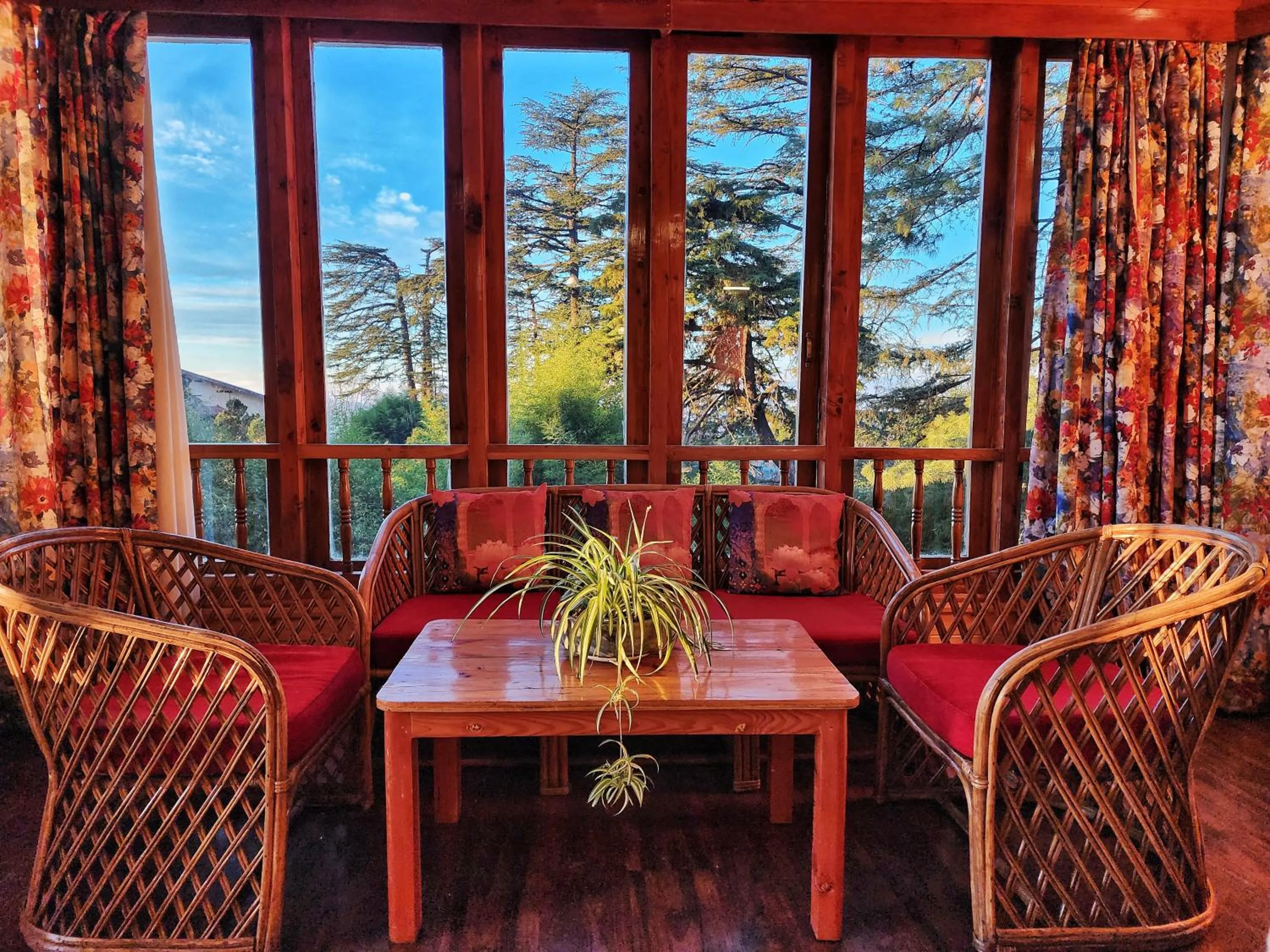 Hotel Pineview Shimla