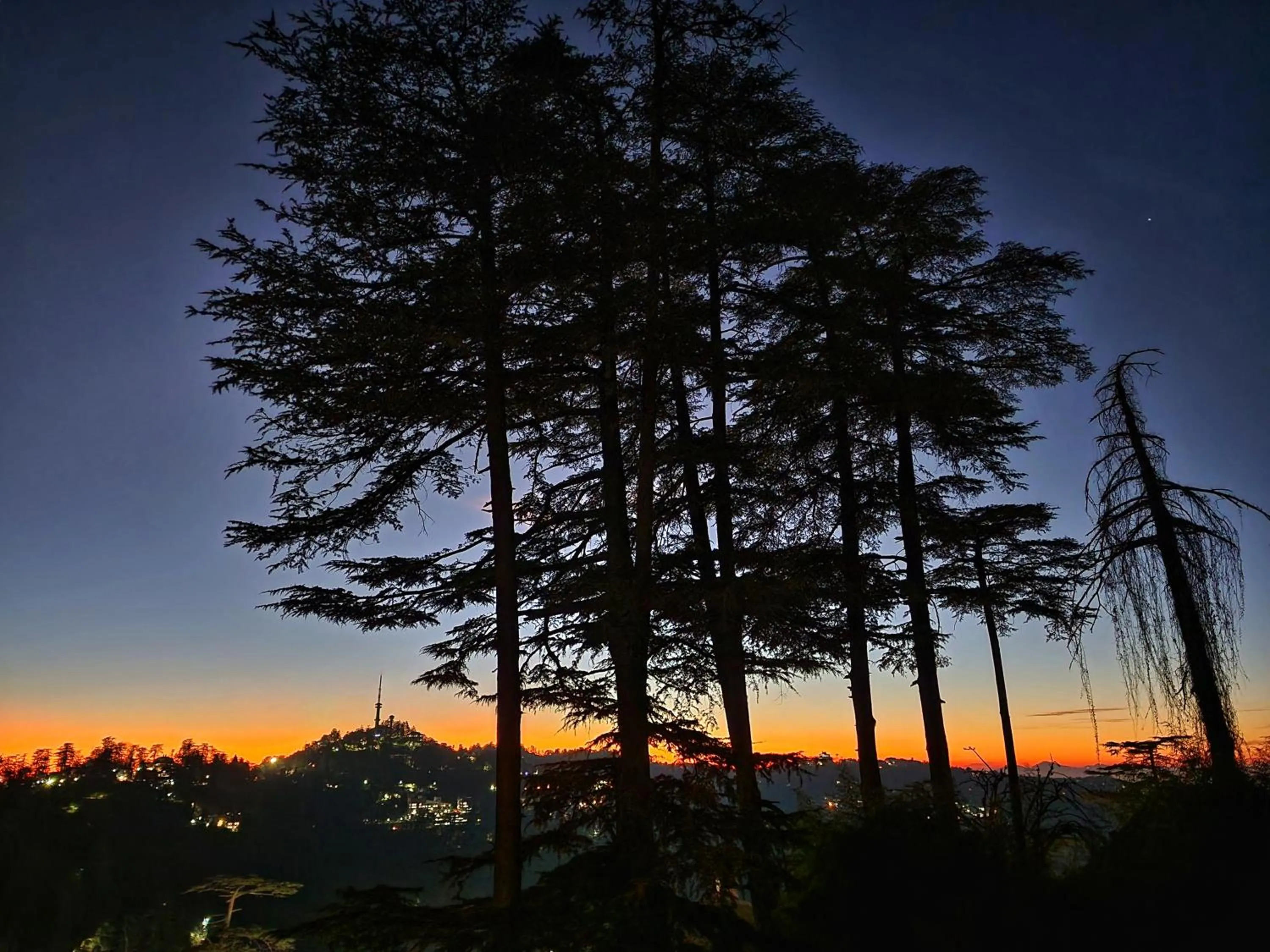 Hotel Pineview Shimla