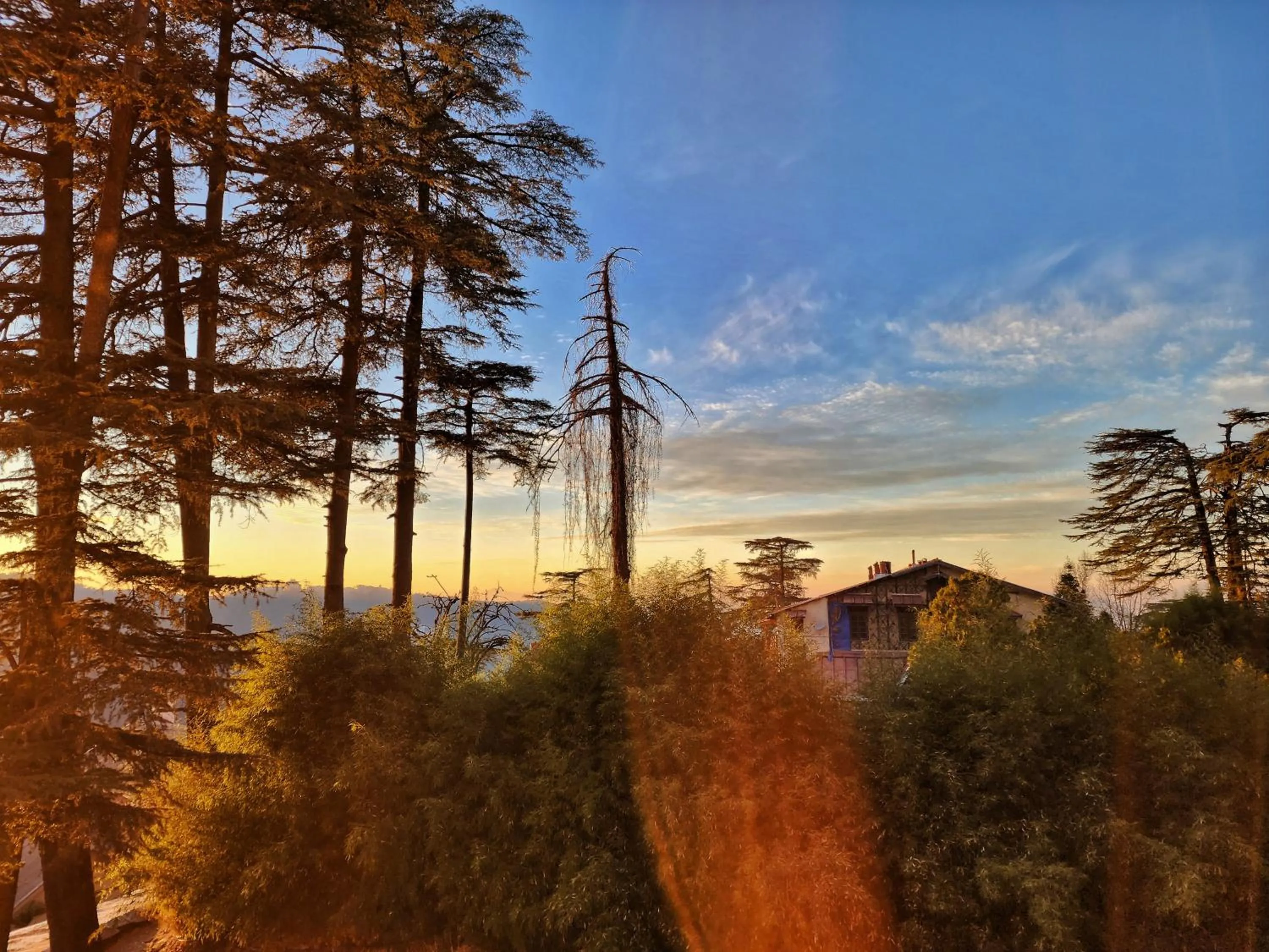 Hotel Pineview Shimla