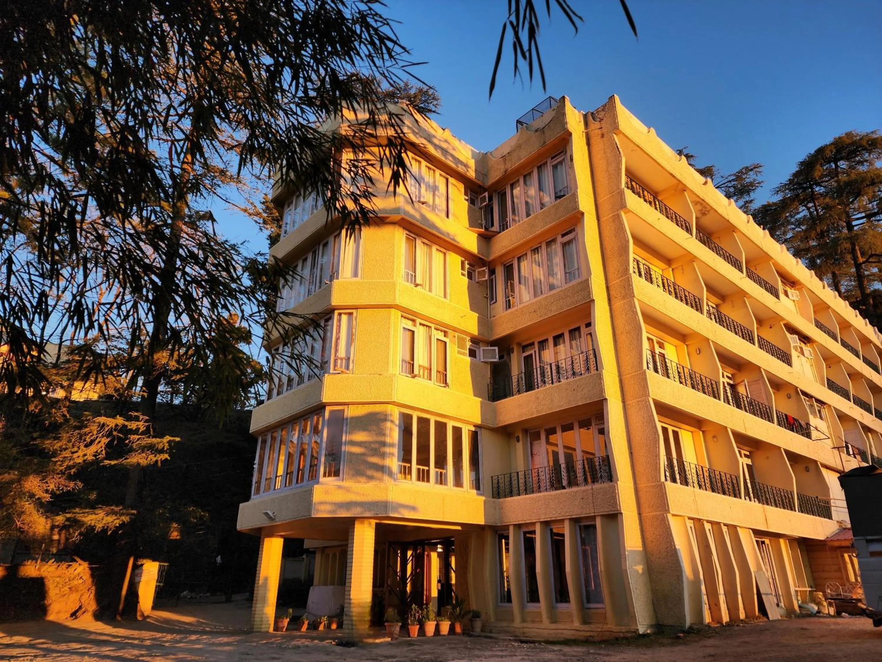 Hotel Pineview Shimla