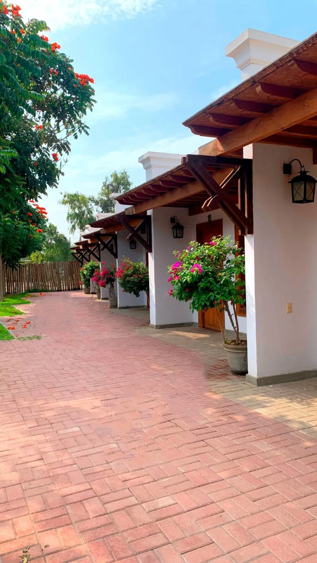 Inner courtyard view in Casa Hacienda San Jose