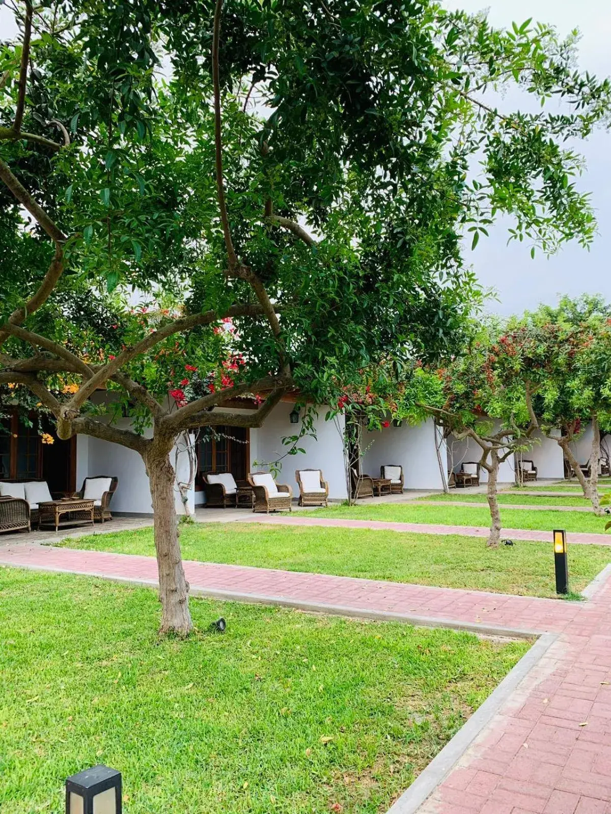 View (from property/room) in Casa Hacienda San Jose View (from property/room) in Casa Hacienda San Jose