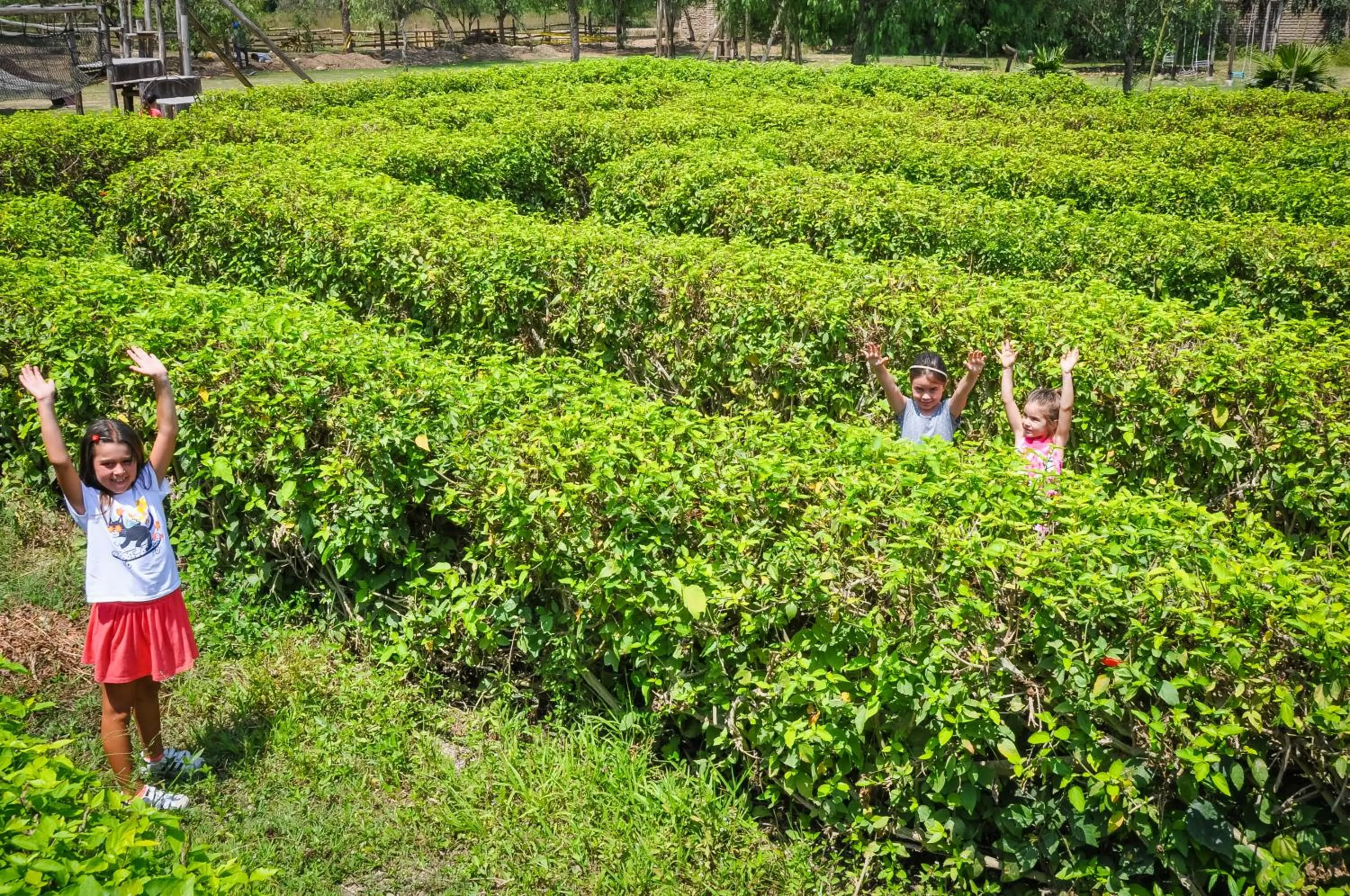 Activities in Casa Hacienda San Jose