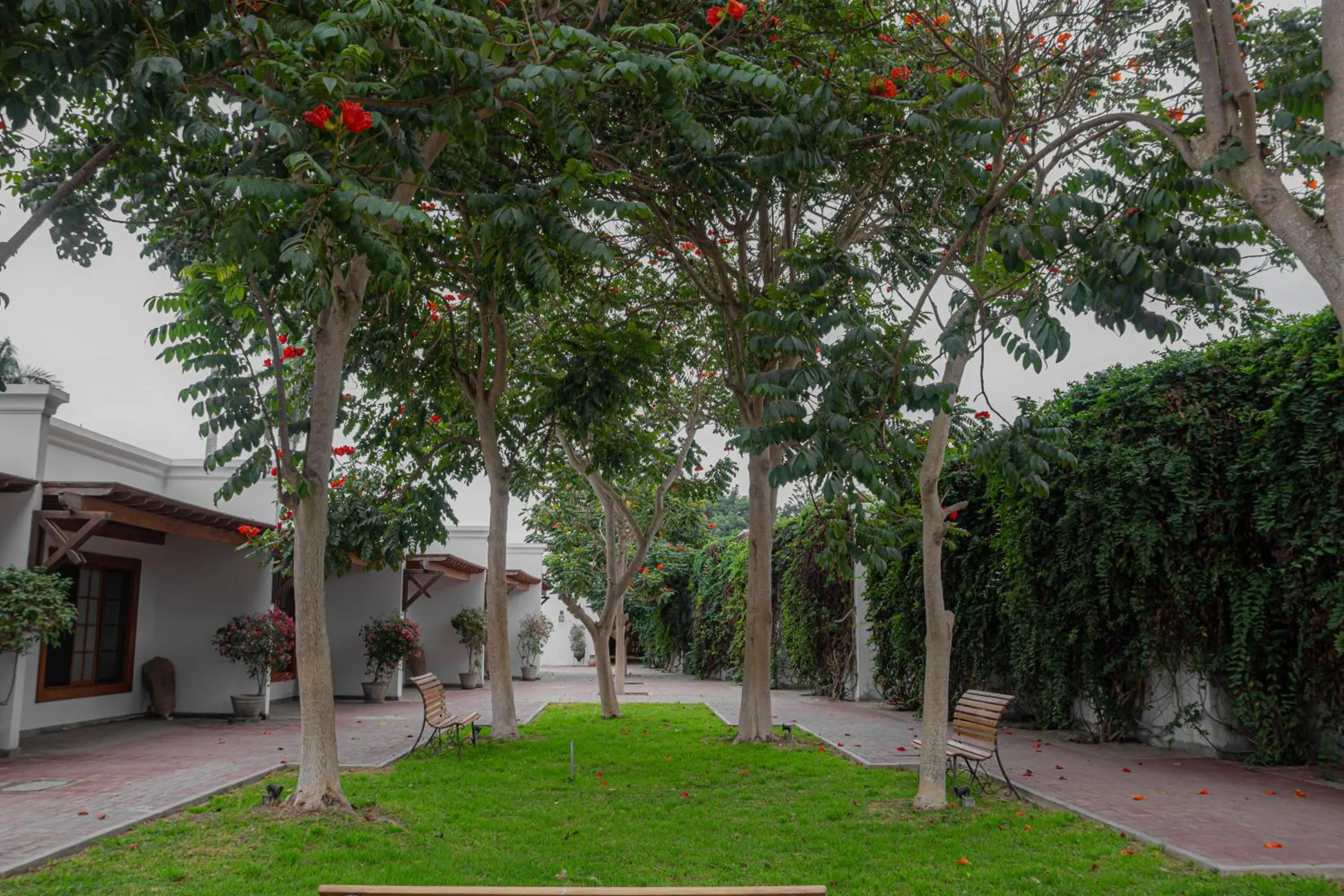Inner courtyard view in Casa Hacienda San Jose