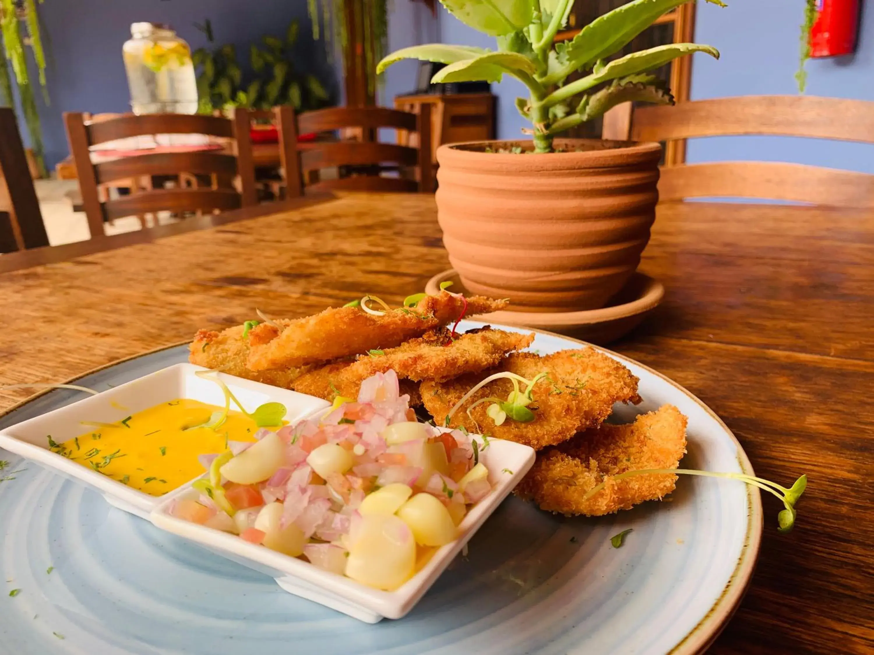 Restaurant/places to eat in Casa Hacienda San Jose Restaurant/places to eat in Casa Hacienda San Jose