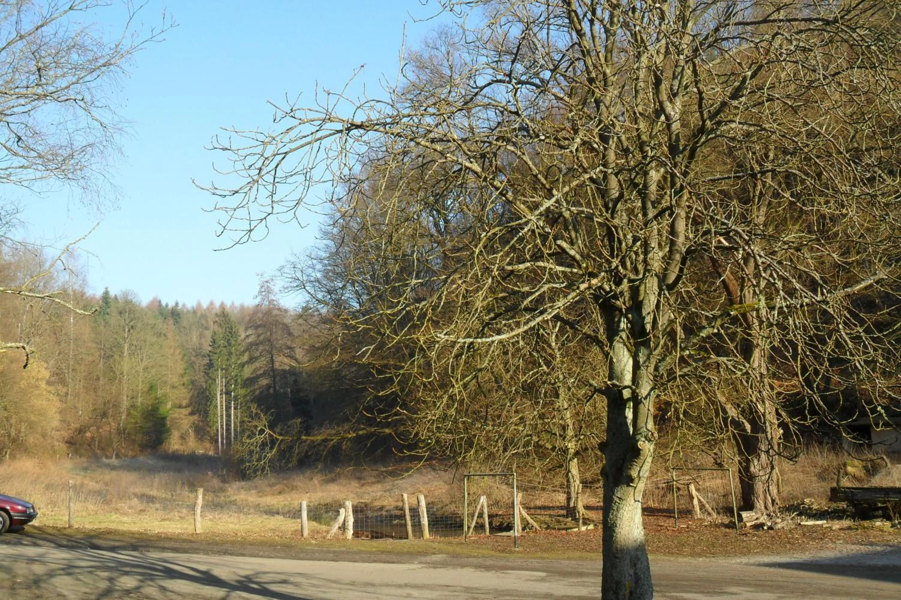 Area and facilities in Hotel Badstube
