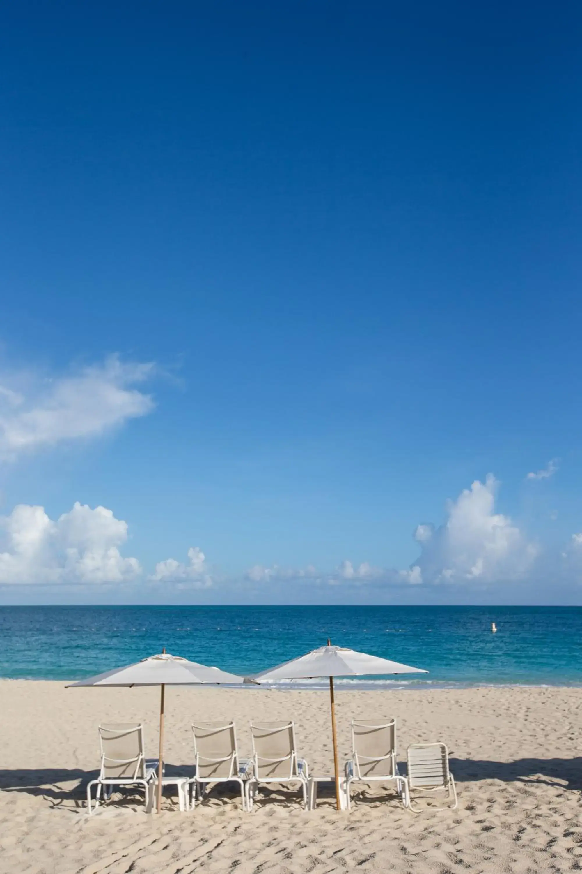 Beach in Villa del Mar Beach in Villa del Mar