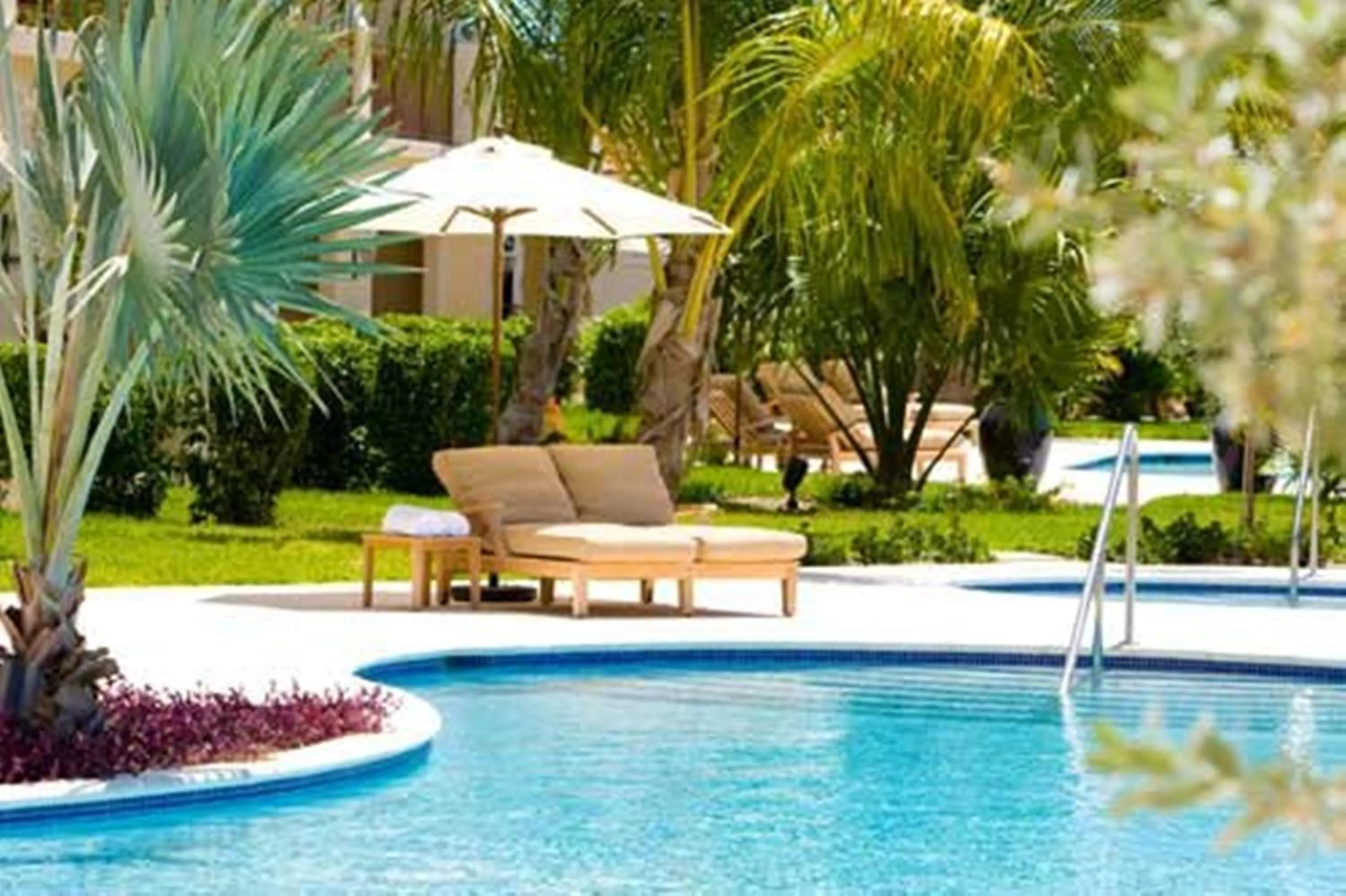 Garden in Villa del Mar