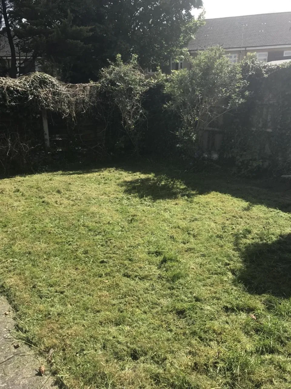 Garden in The Avenues