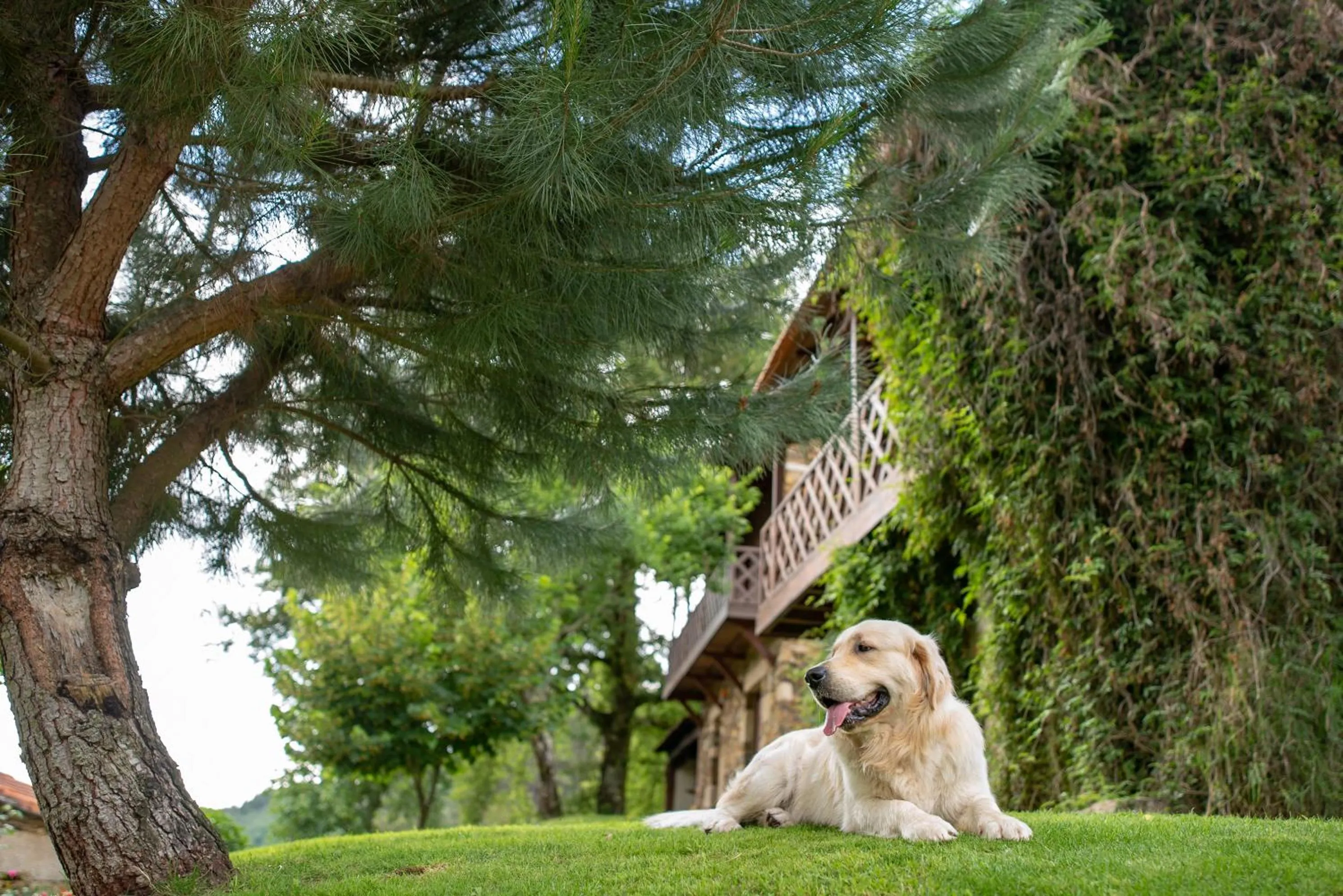 Garden in Quinta da Rabaçosa - Turismo Rural