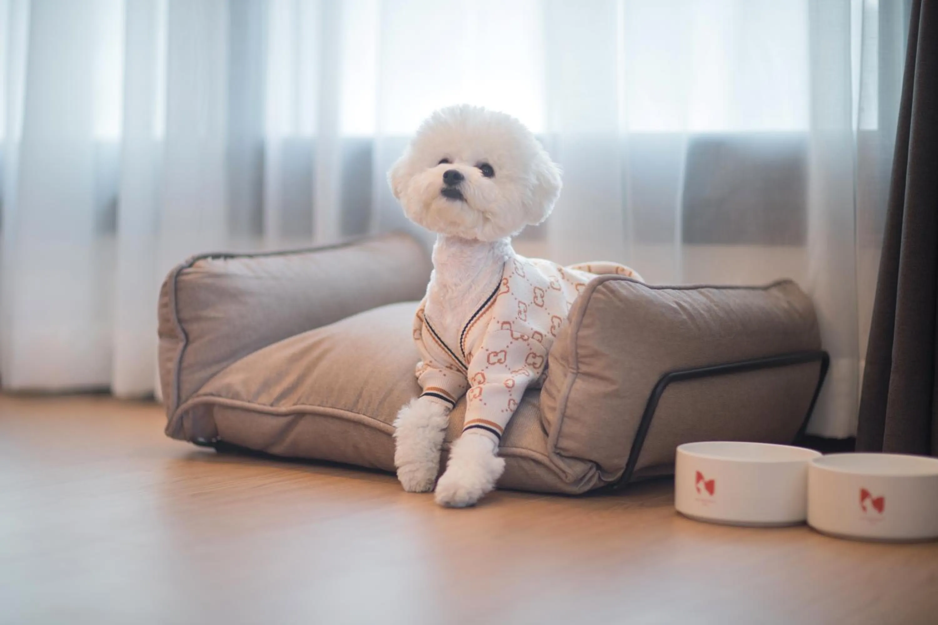 Animals in Utop Marina Hotel & Resort