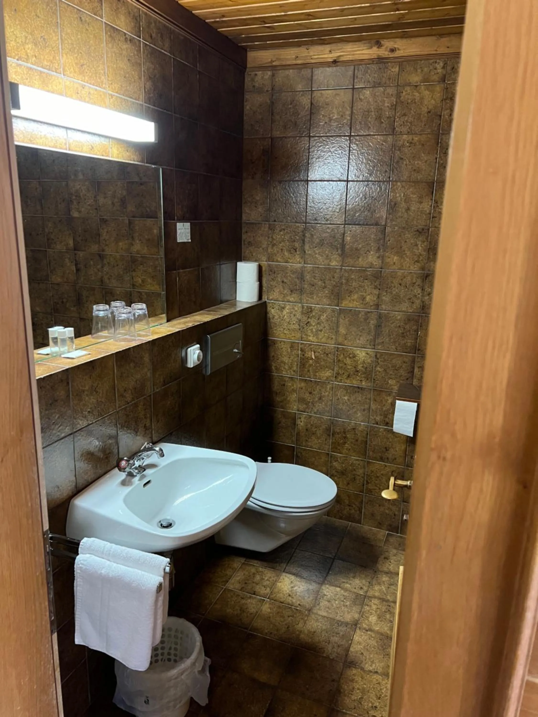 Bathroom in Hotel LukasMayr