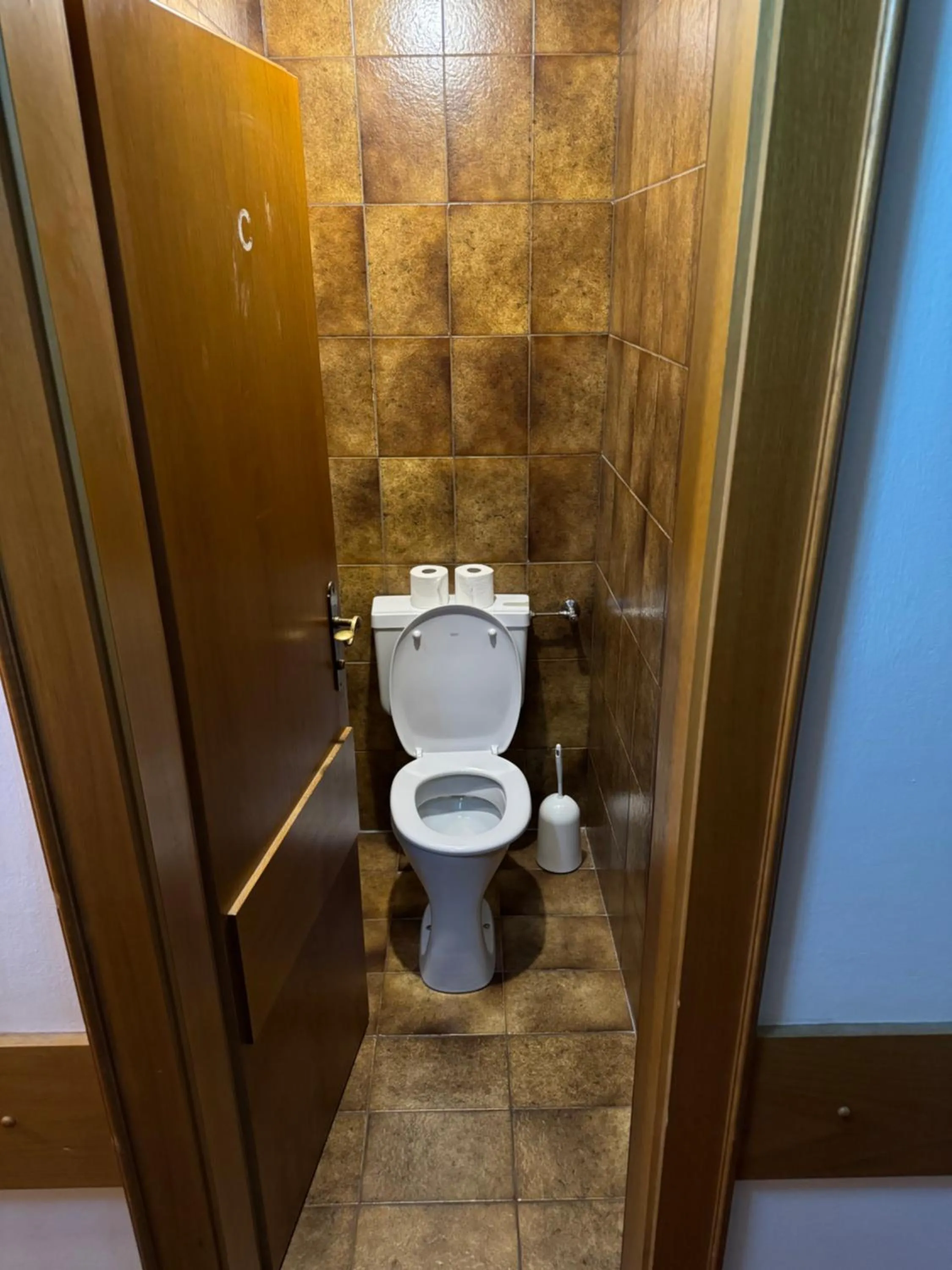 Toilet in Hotel LukasMayr