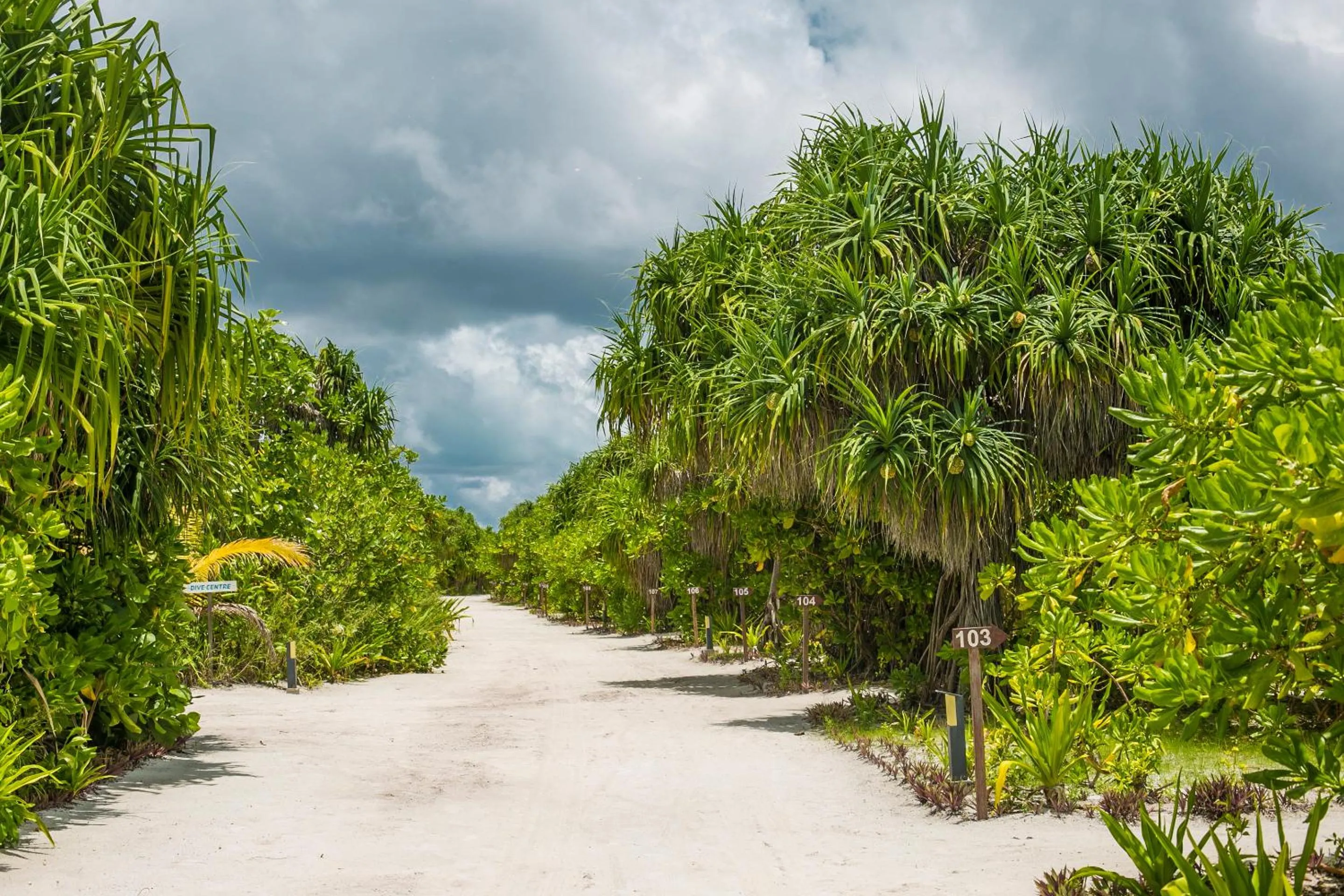 View (from property/room) in Hondaafushi Island Resort