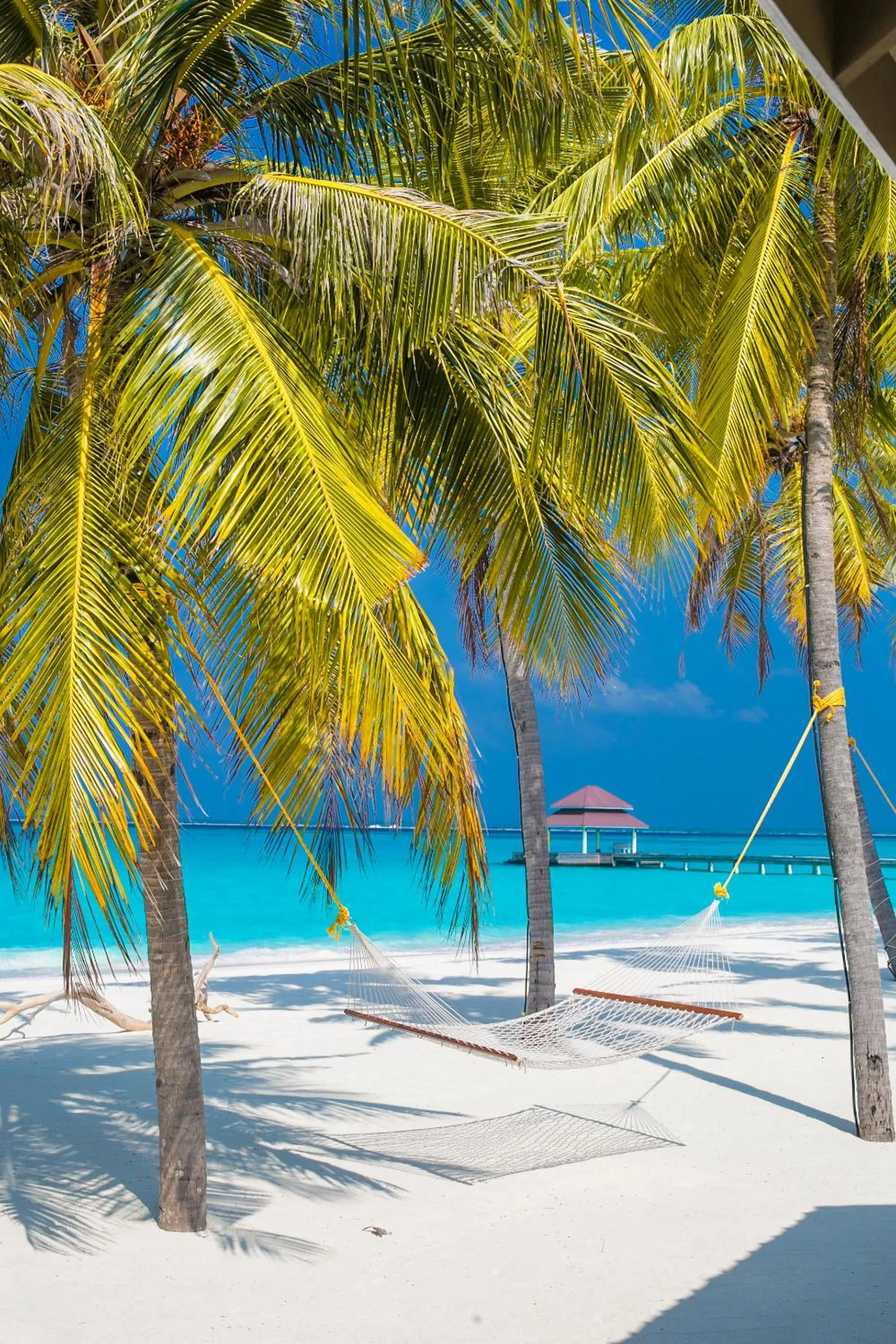 Beach in Hondaafushi Island Resort